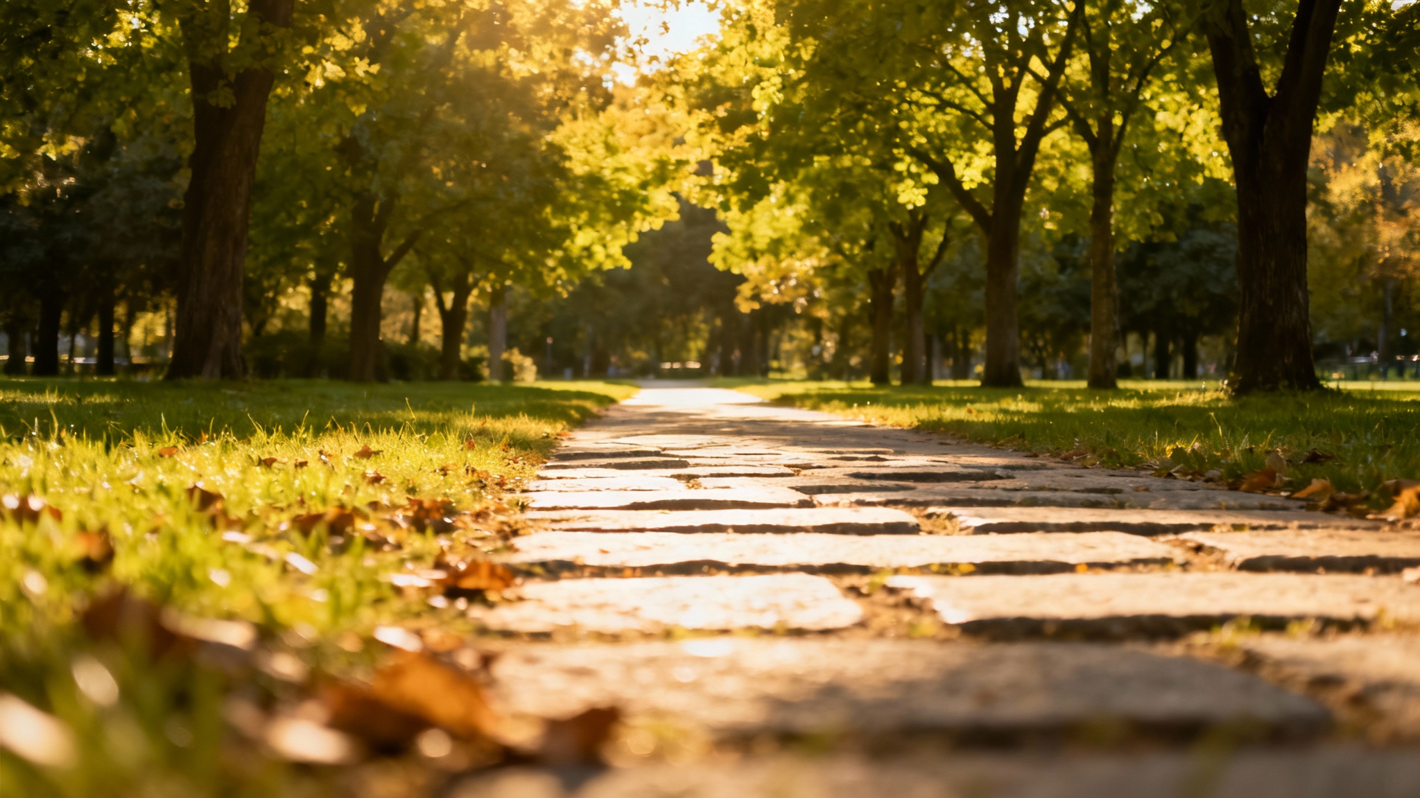 Conclusion : L'importance de la rééducation et l'avenir de la vue