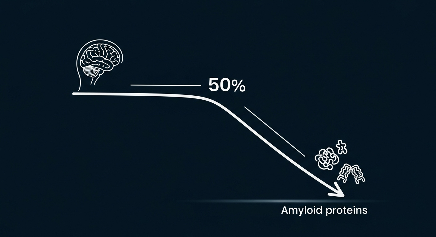 Un nettoyage cérébral express et efficace