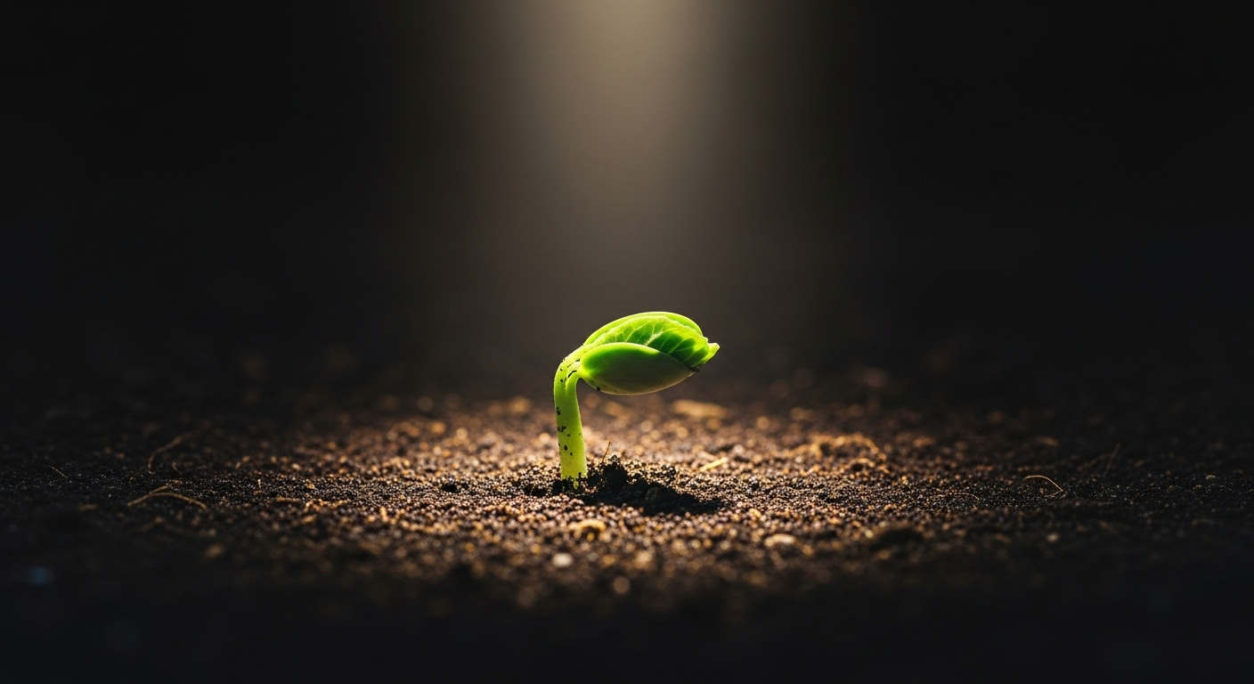 Ce qu'en pensent les experts et les prochaines étapes