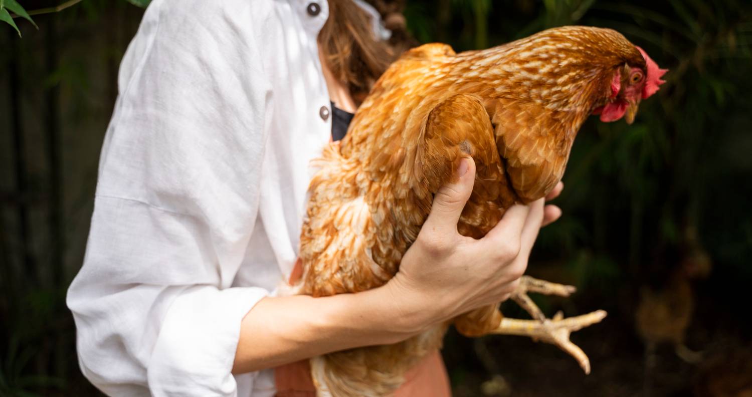 Conclusion : une vigilance de tous les instants