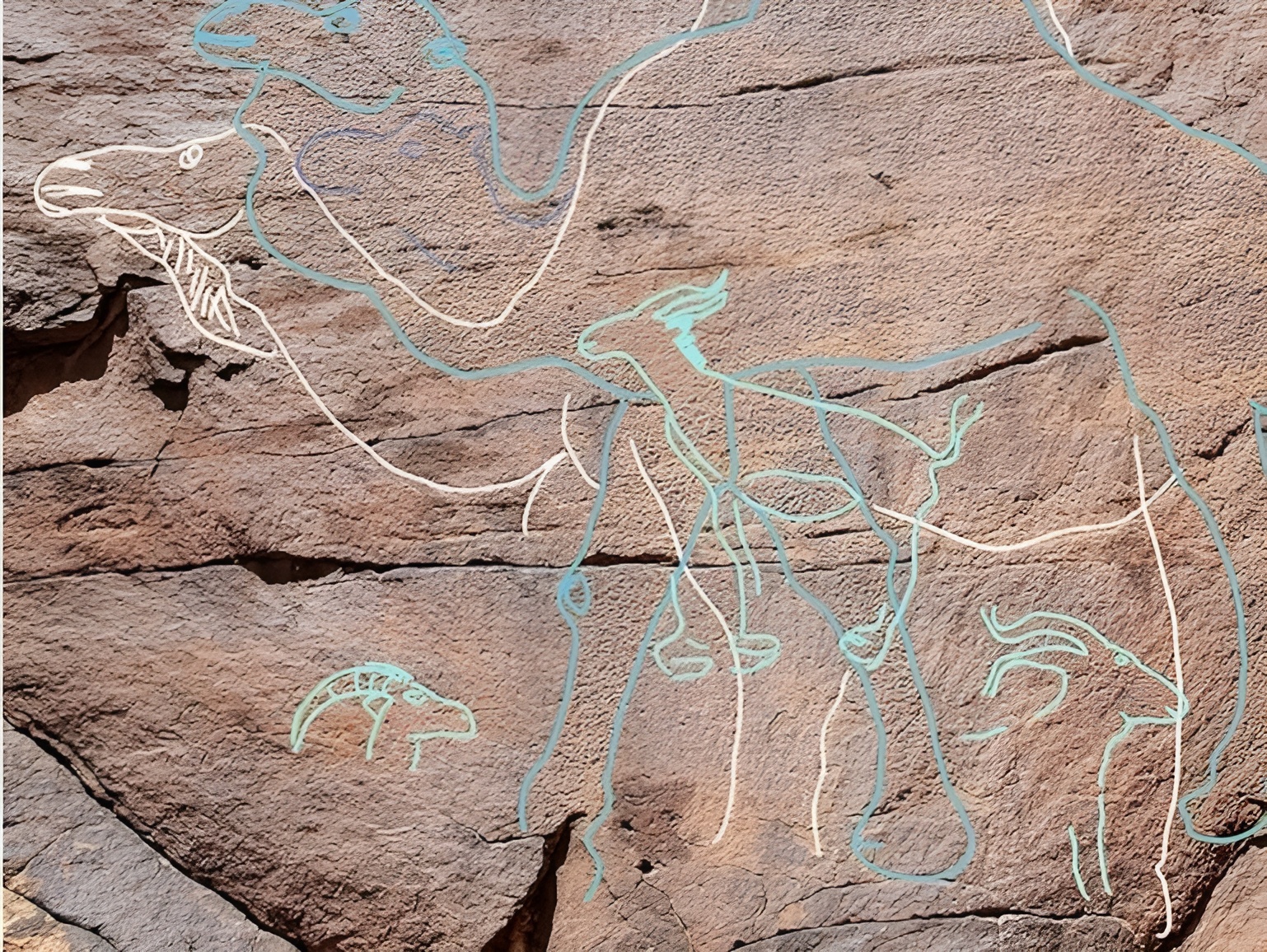 Les secrets gravés dans le désert : comment de simples dessins pourraient réécrire notre histoire