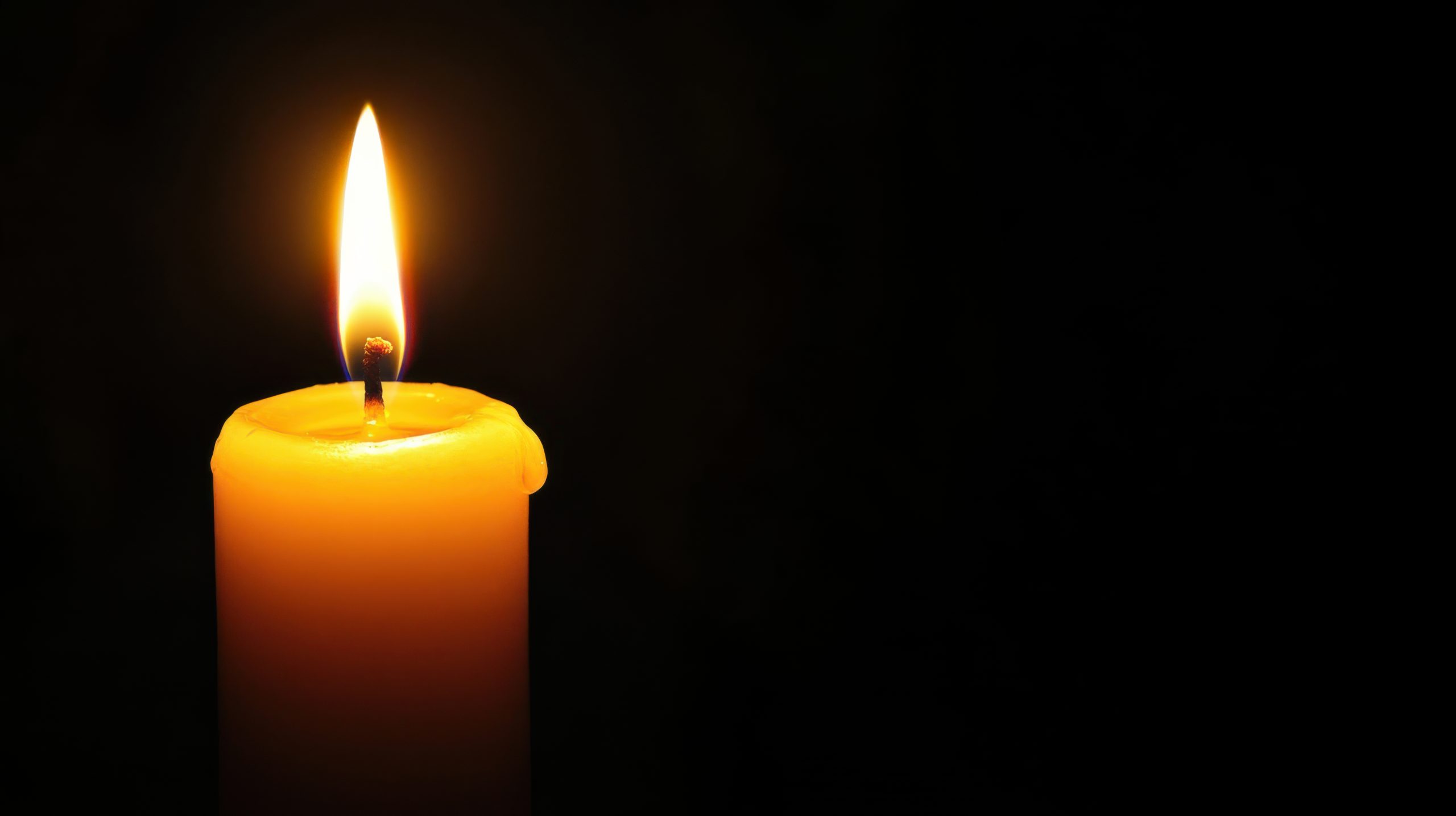 « Le cœur et l'âme de notre famille » : une famille en quête de vérité