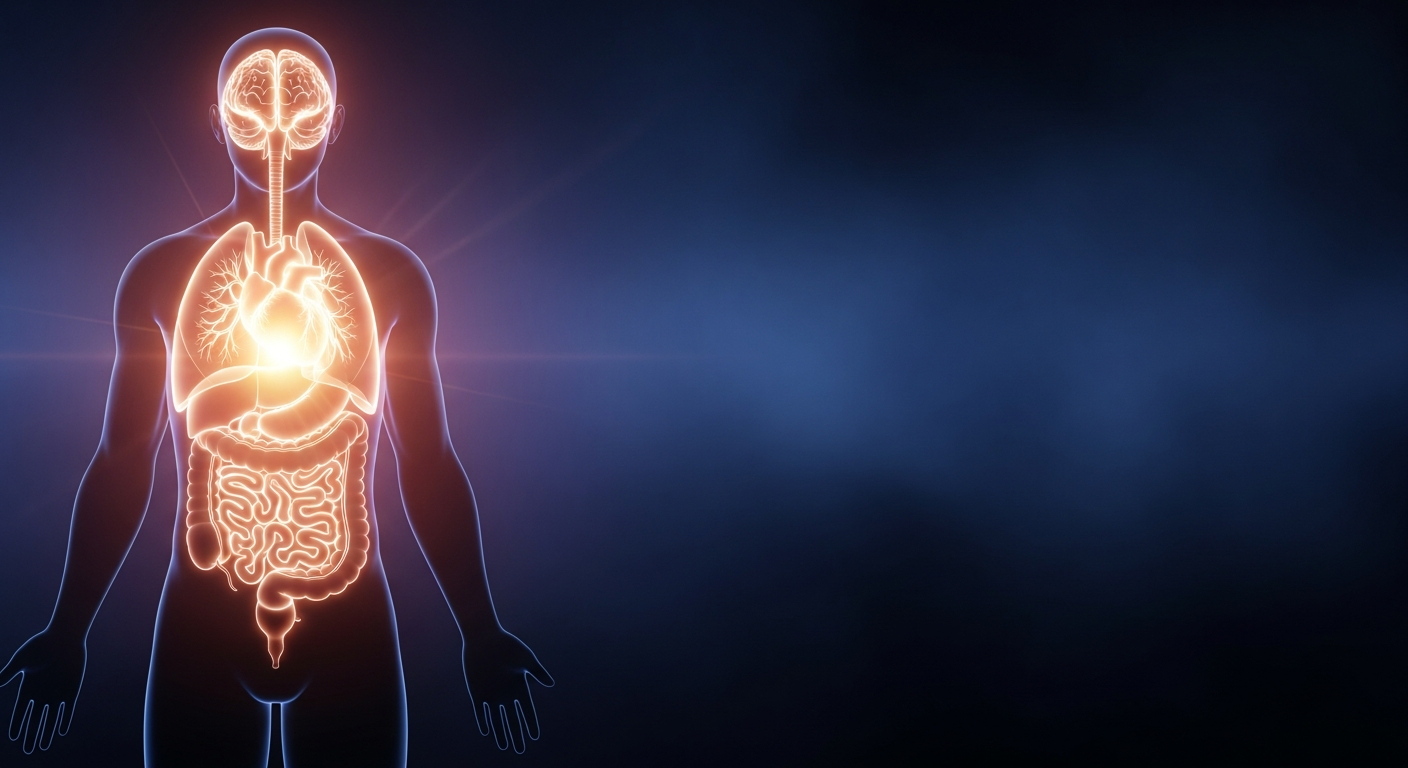 Les bienfaits invisibles : ce qui se passe à l'intérieur