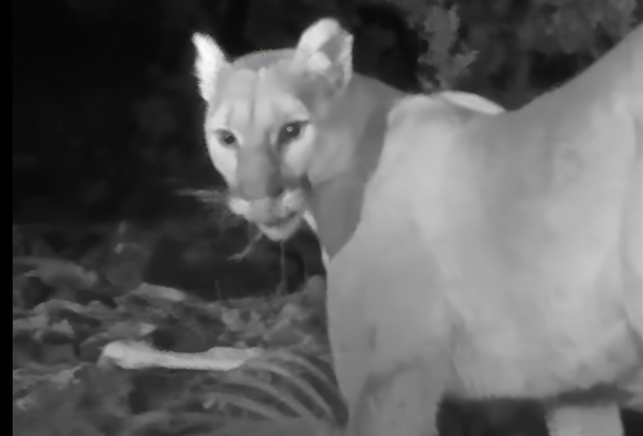 Mais comment la batterie a-t-elle pu durer 10 ans ?