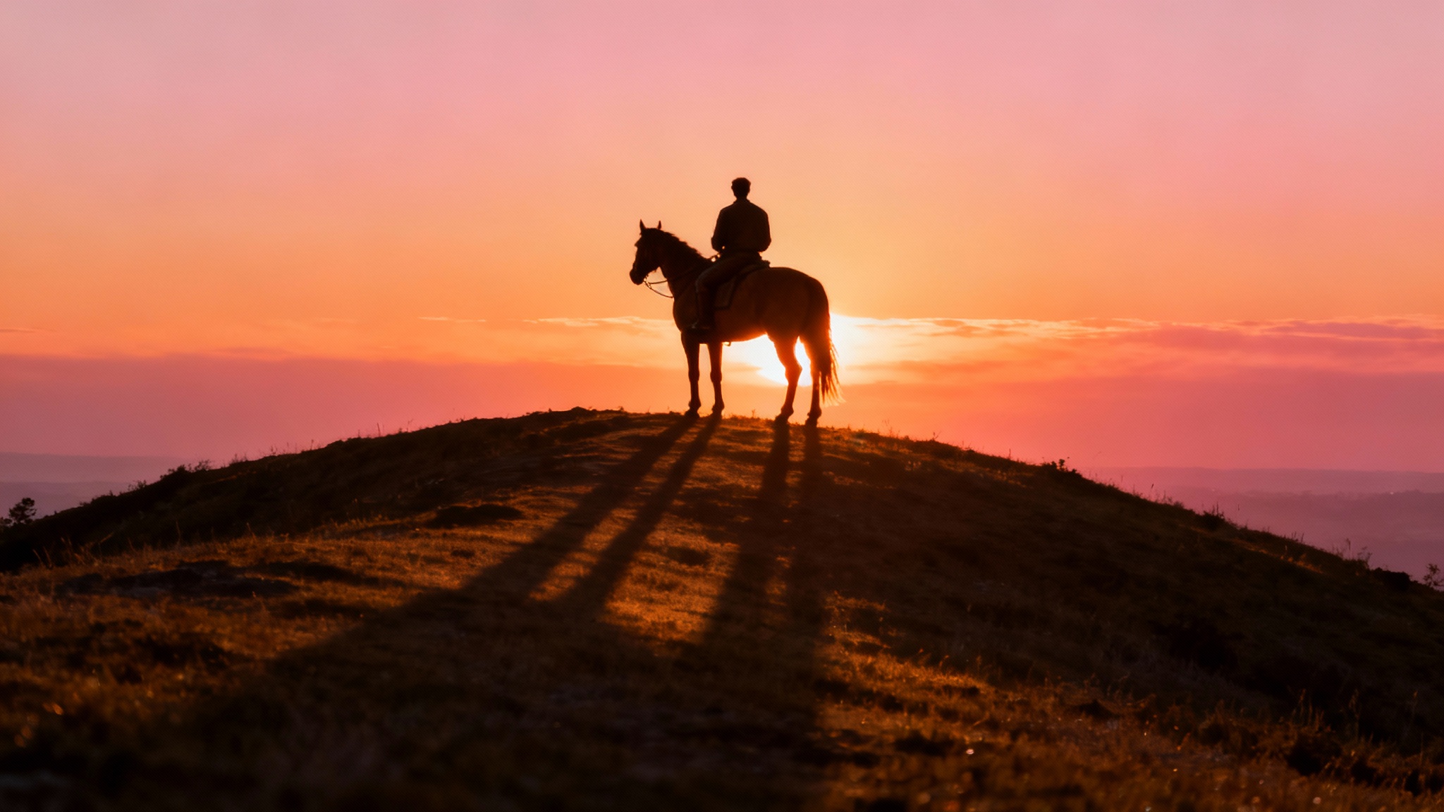 Conclusion : voir comme lui pour mieux le comprendre