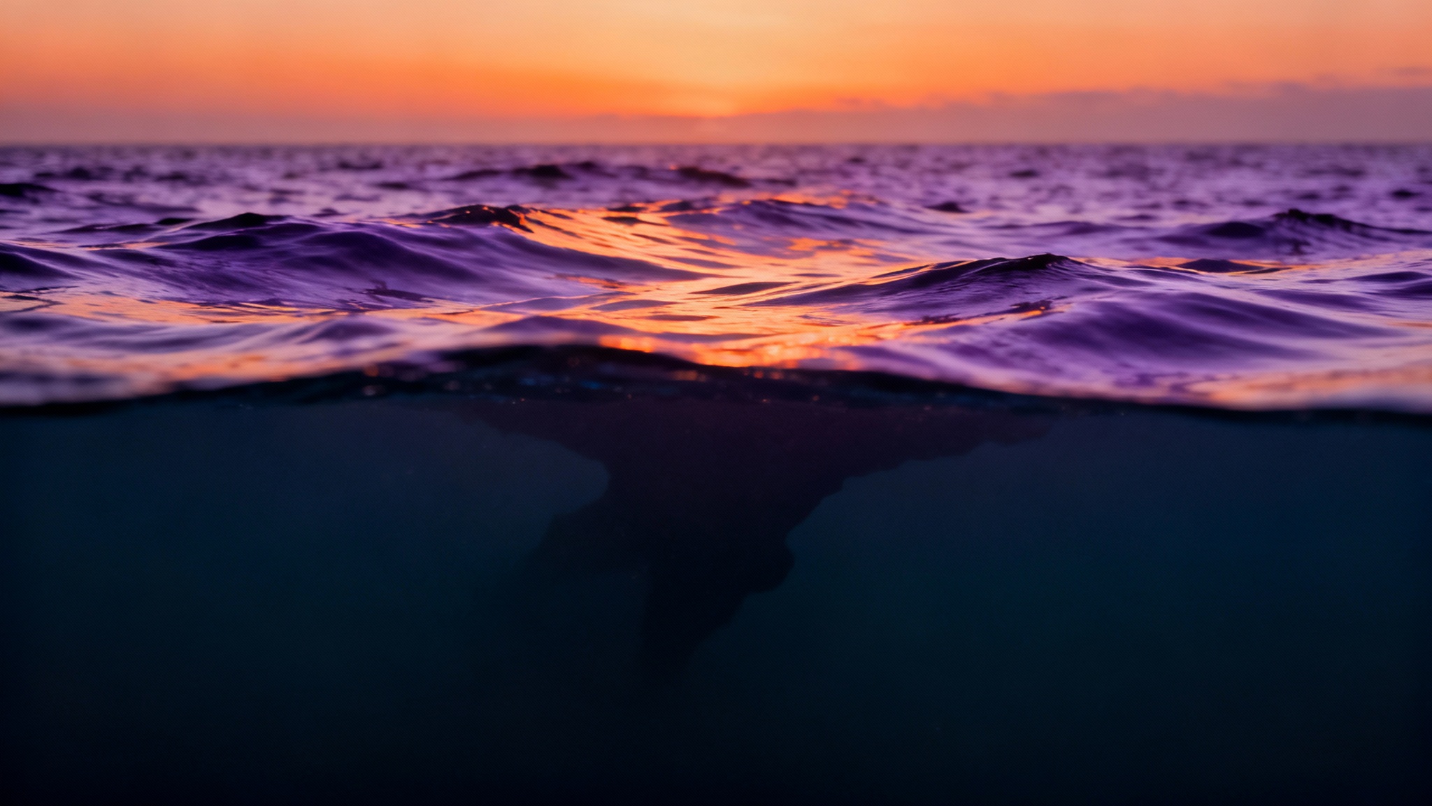 Le secret caché des océans : de minuscules microbes qui aggravent le réchauffement climatique