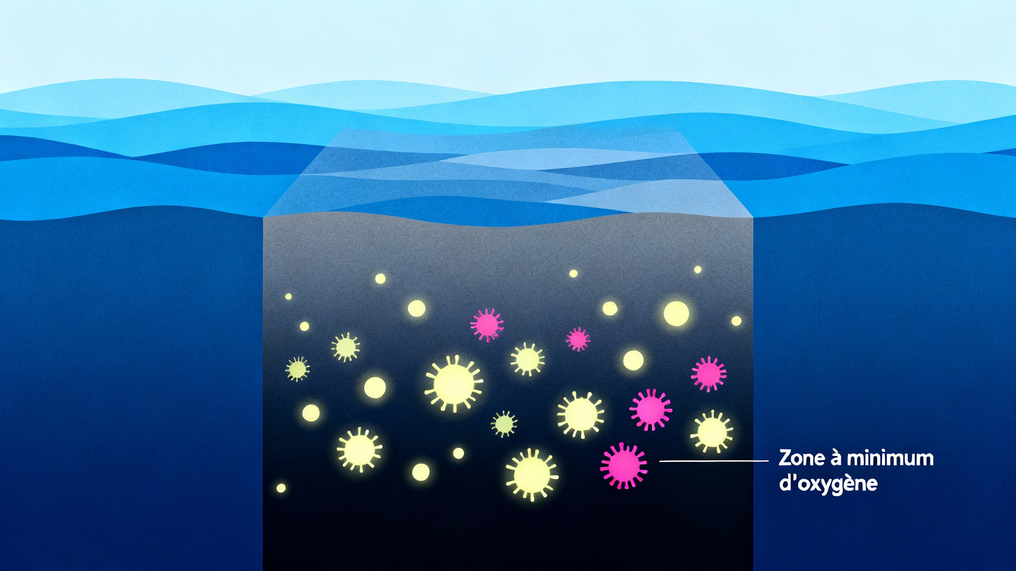 Plongée dans les zones où l'oxygène se fait rare