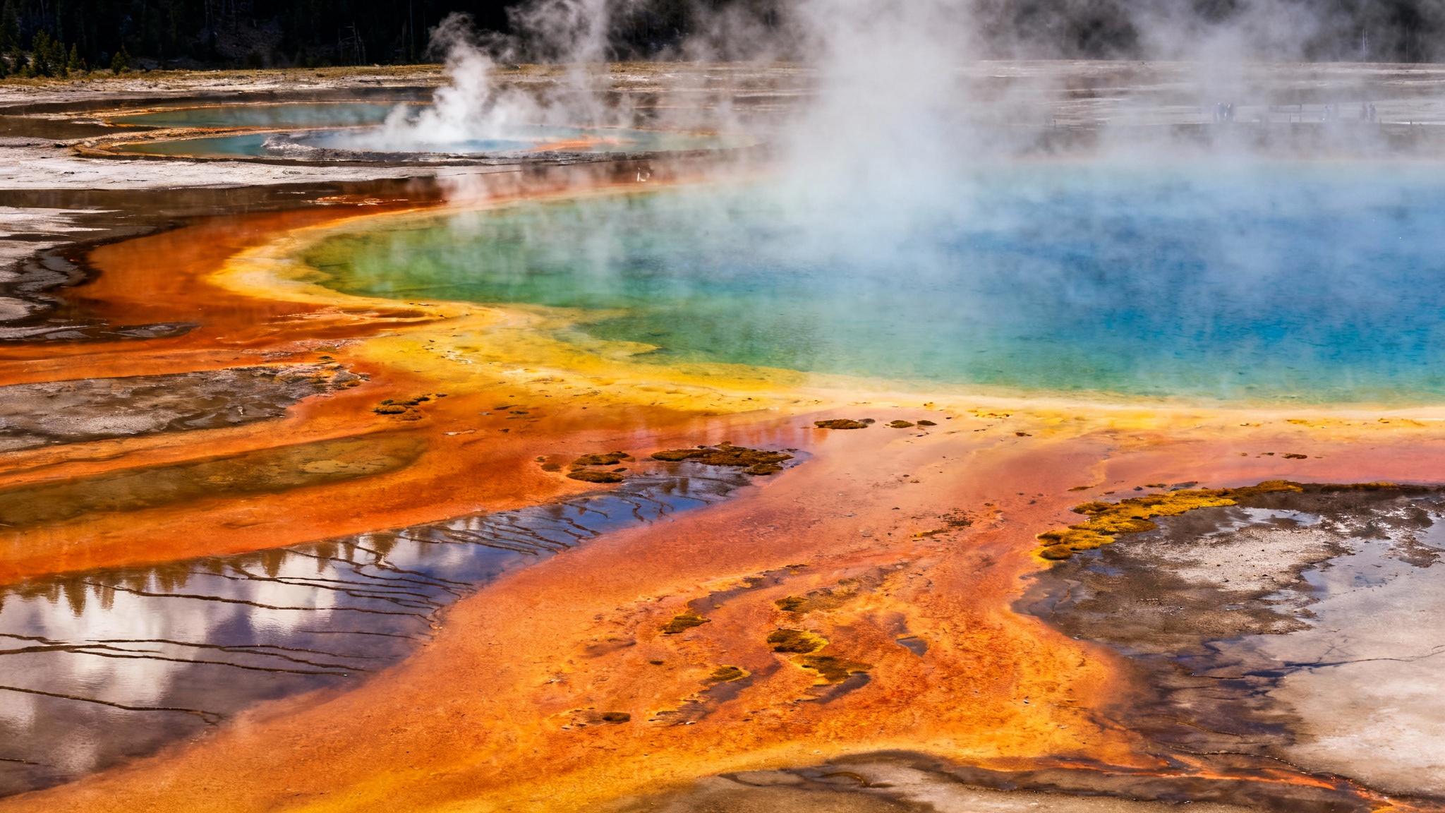 Dans la chaleur d'un geyser, la clé de l'ADN moderne