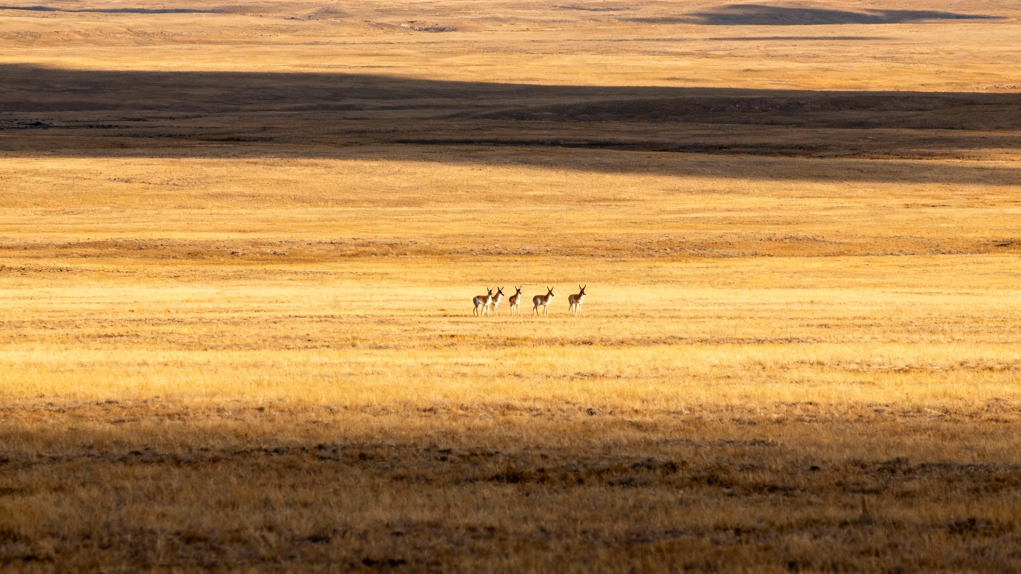 Le paysage, le vrai secret de la survie