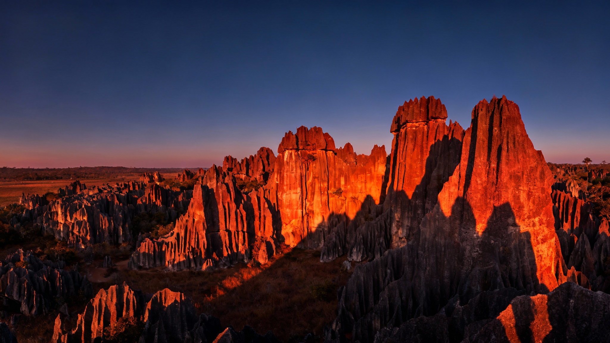 Un sanctuaire nommé Madagascar