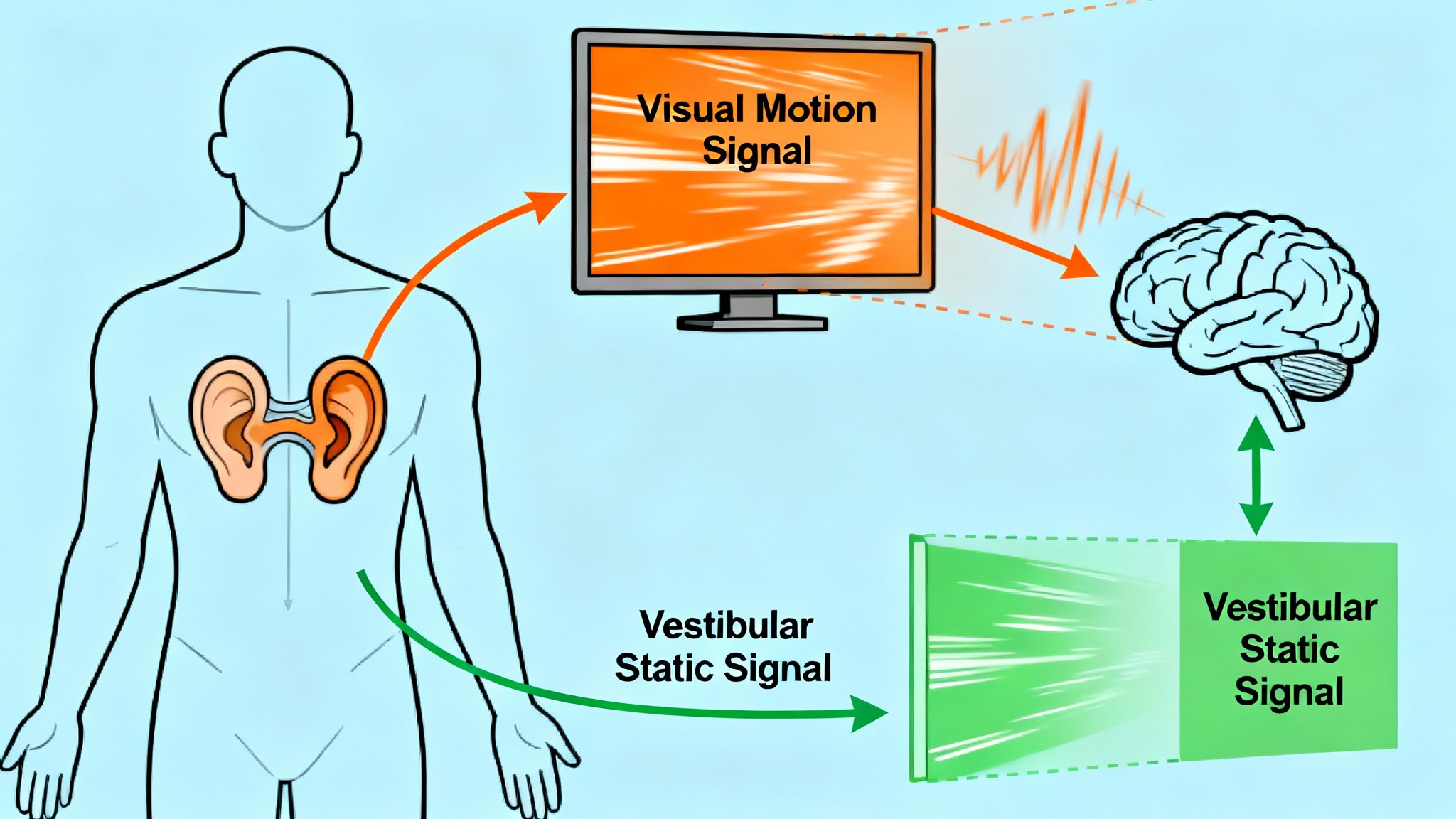 Quand le cerveau perd ses repères
