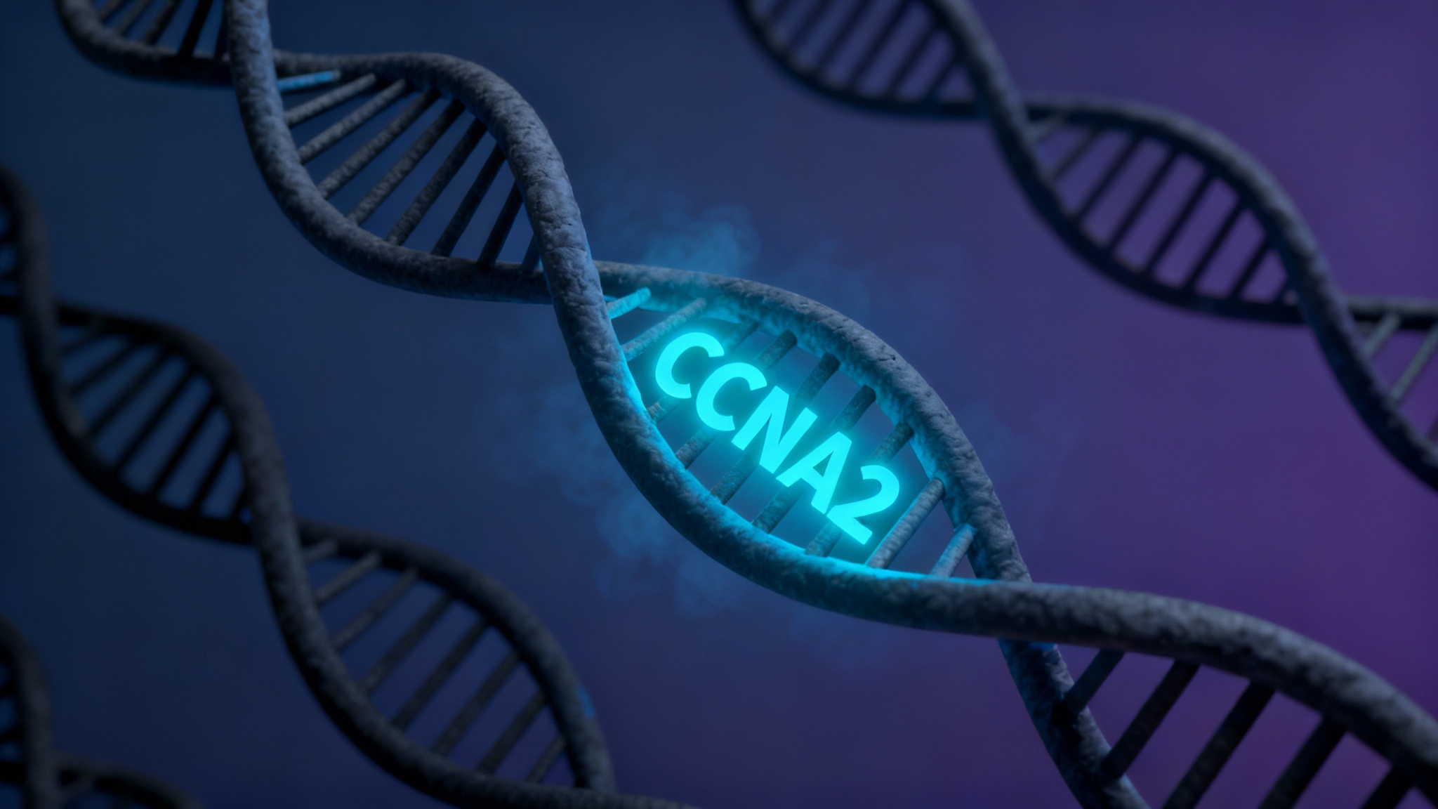 La piste fœtale : une mémoire cellulaire endormie