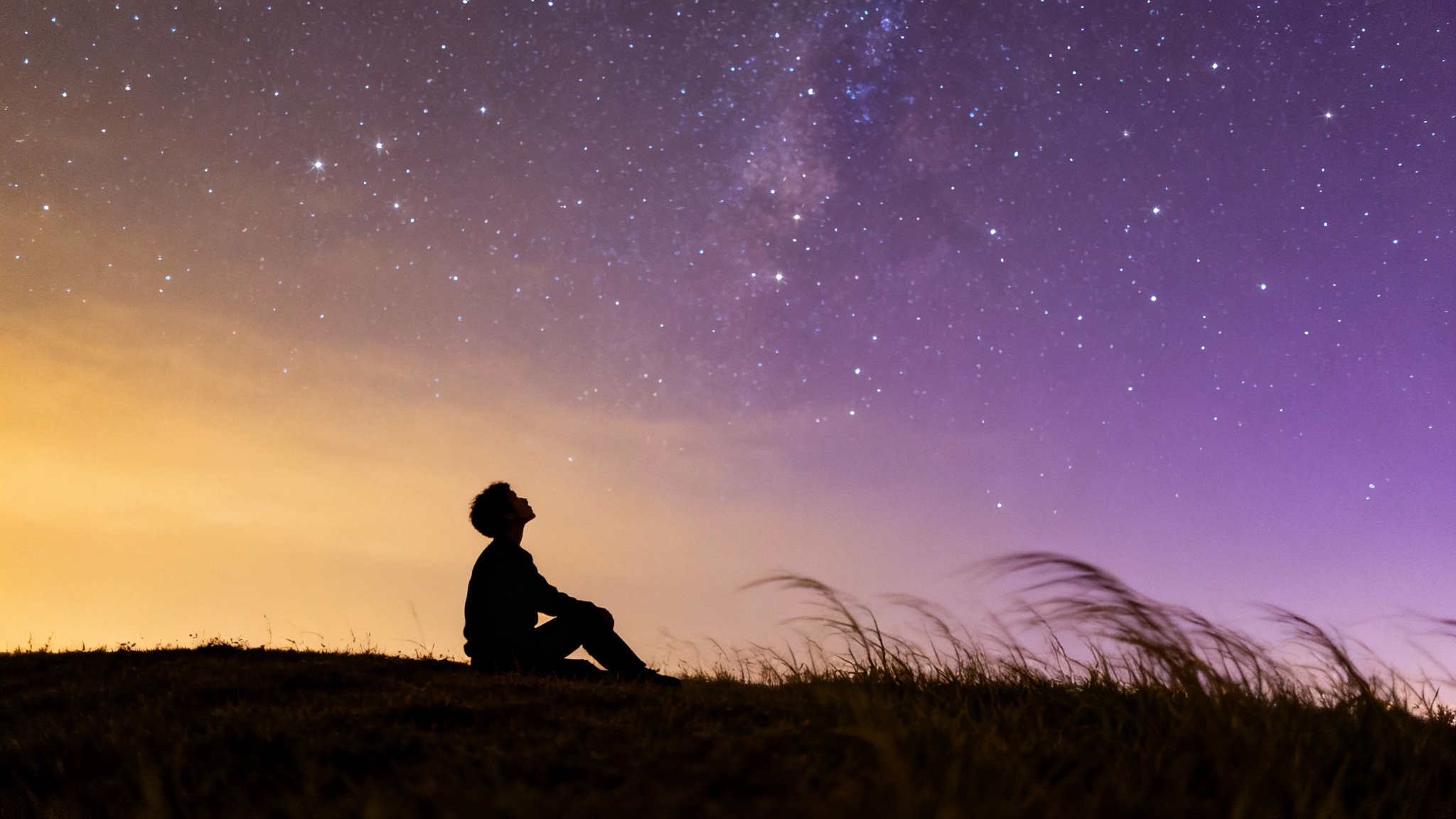 Conclusion : ce que cela nous apprend sur nous-mêmes