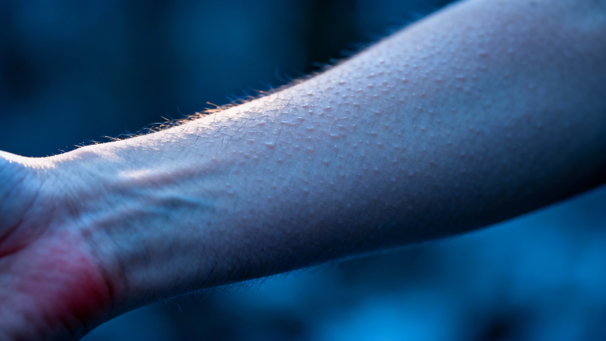 La première ligne de défense : chair de poule et mains gelées