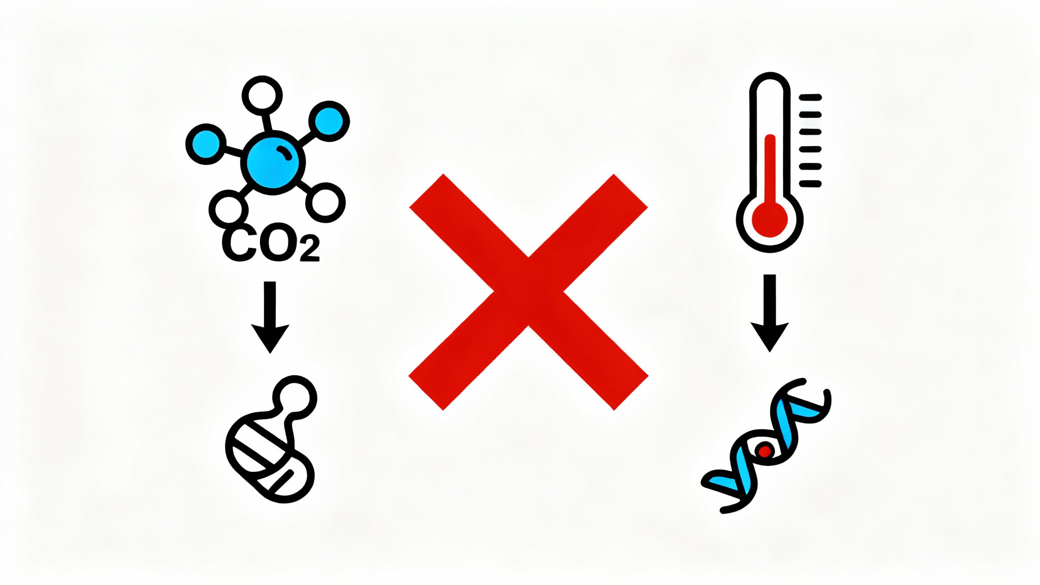 Le paradoxe des protéines : un casse-tête inattendu
