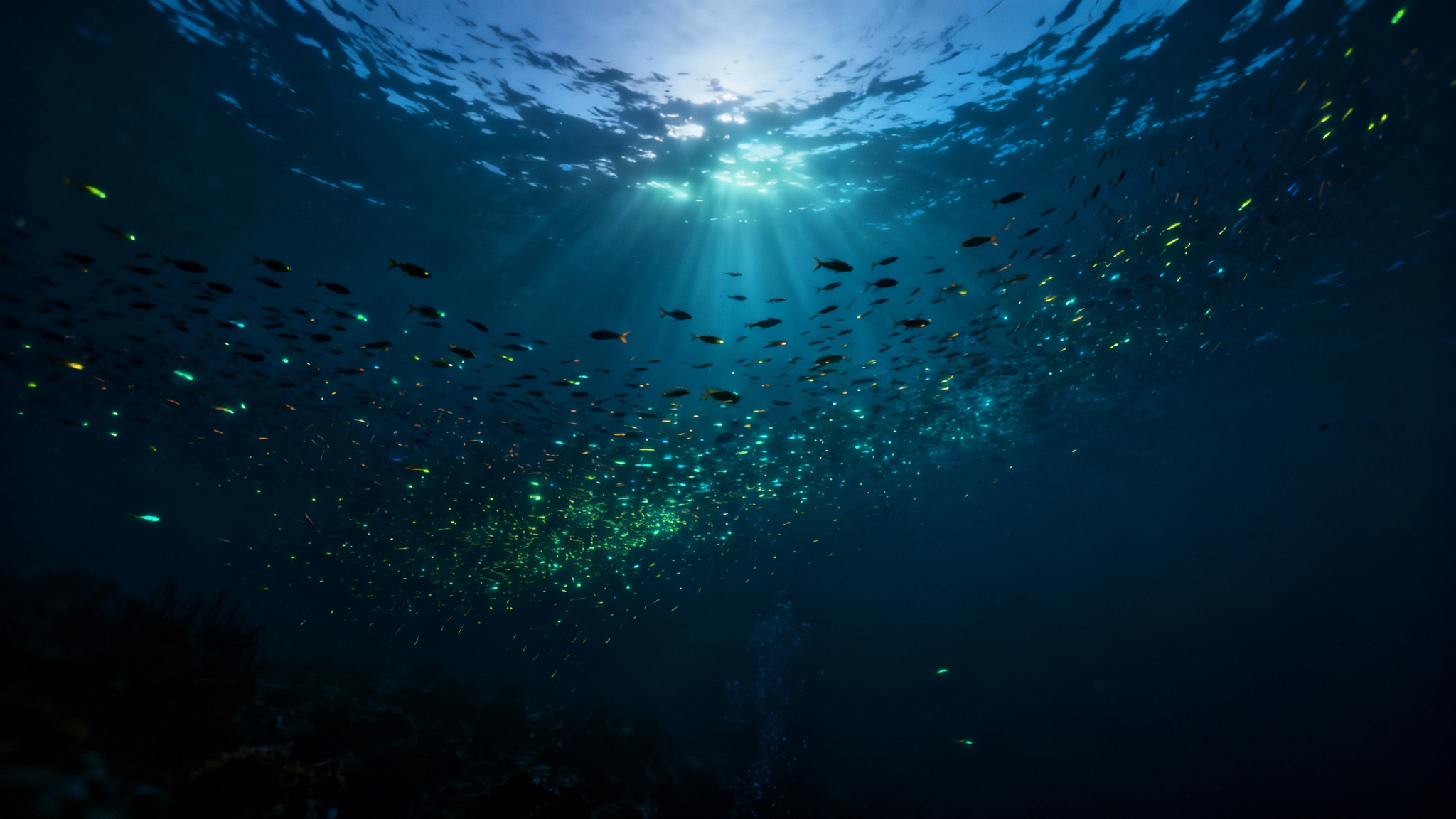 La ruée vers l&rsquo;or des profondeurs : pourquoi ces &lsquo;cailloux&rsquo; marins sèment la discorde