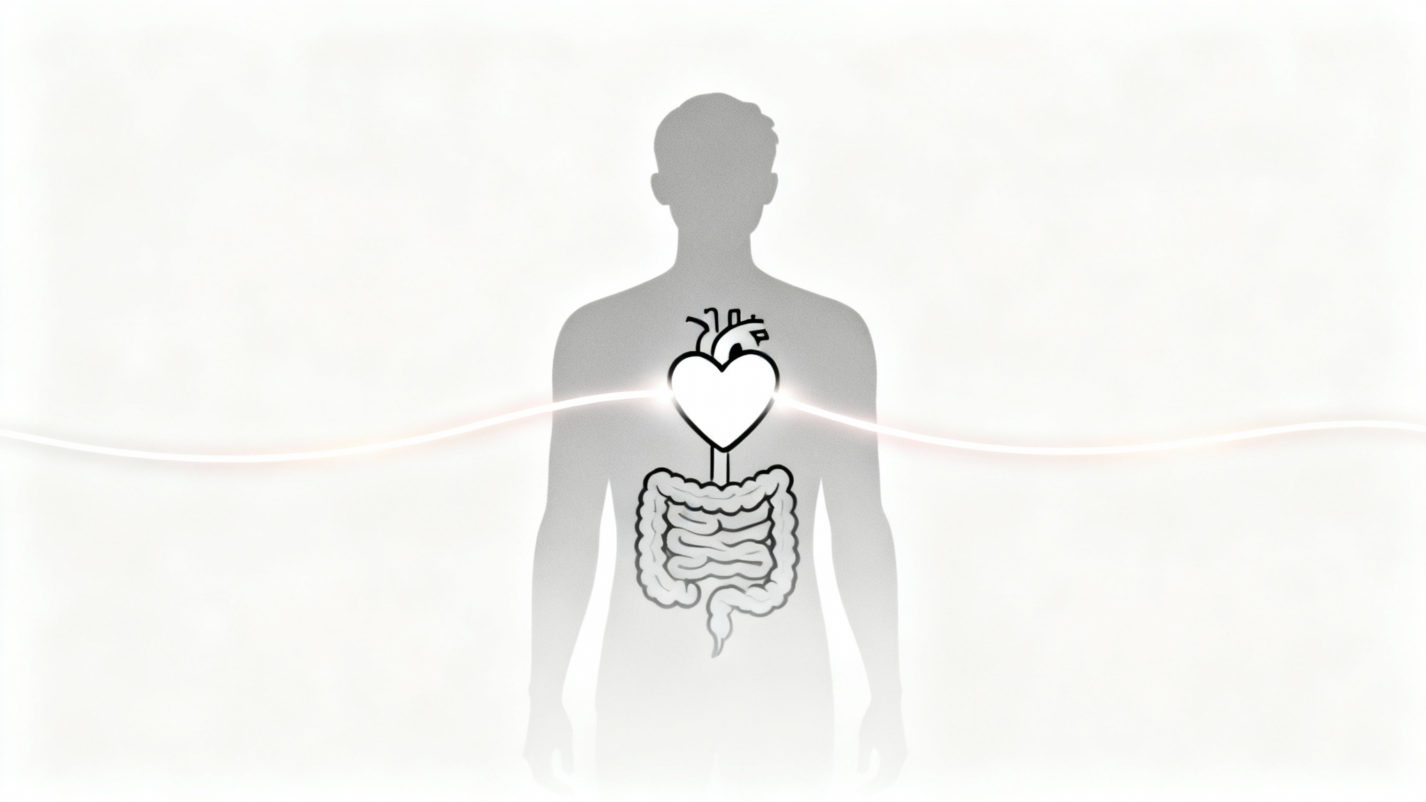 Un lien surprenant entre nos intestins et les maladies du cœur