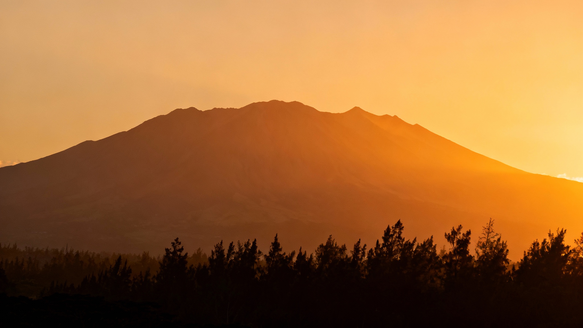 réparer l'histoire pour réentendre le chant des oiseaux