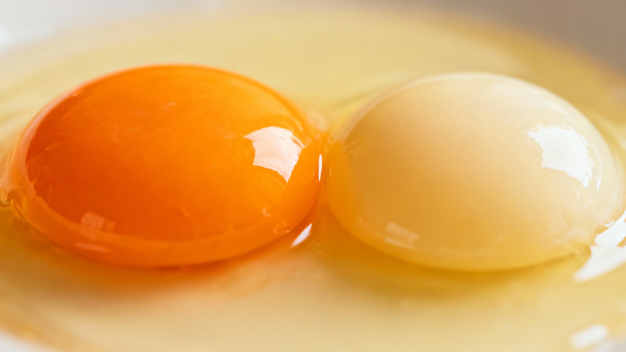 L'impact sur la santé : quand l'éthique rejoint la nutrition