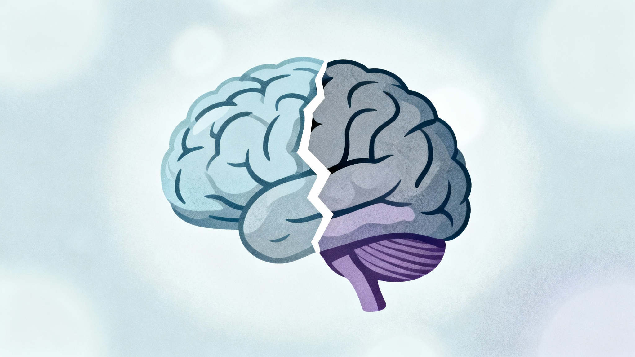 La fragmentation, mécanisme de survie