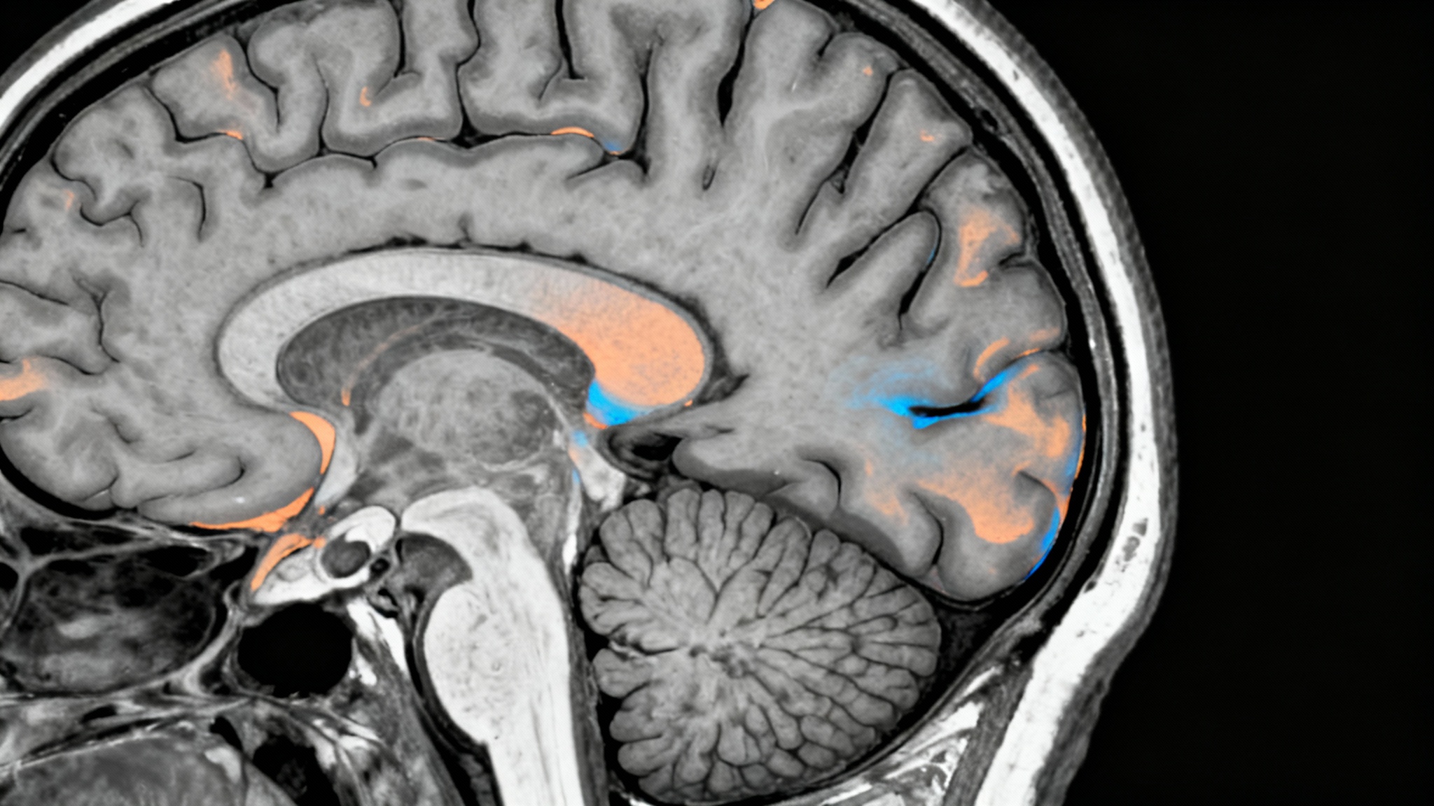 Des risques sérieux qui freinent les autorités sanitaires