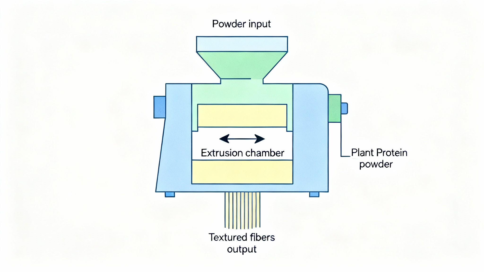 Le défi de la texture : imiter la fibre de la viande