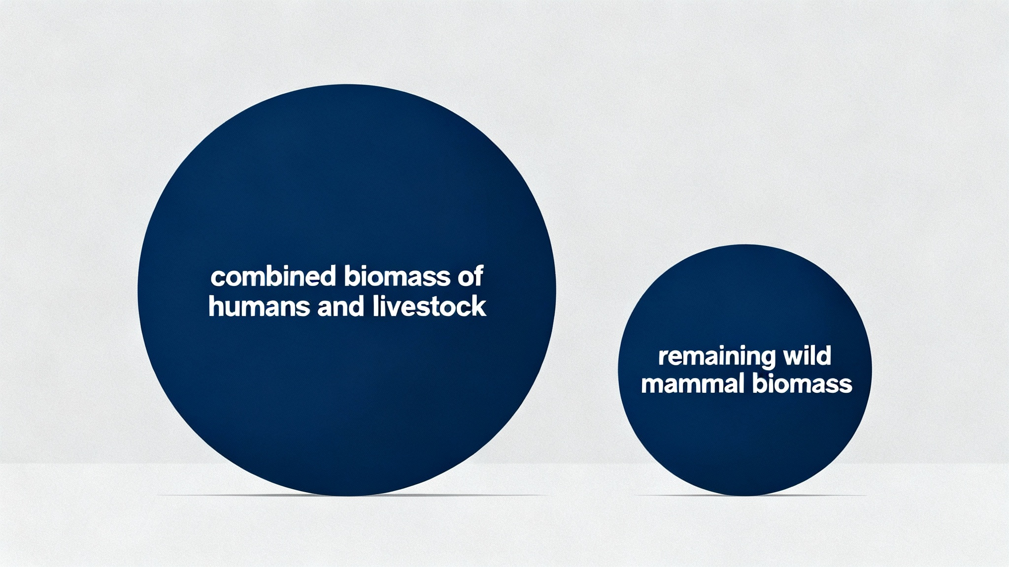 L'indicateur choc : La biomasse sauvage s'effondre