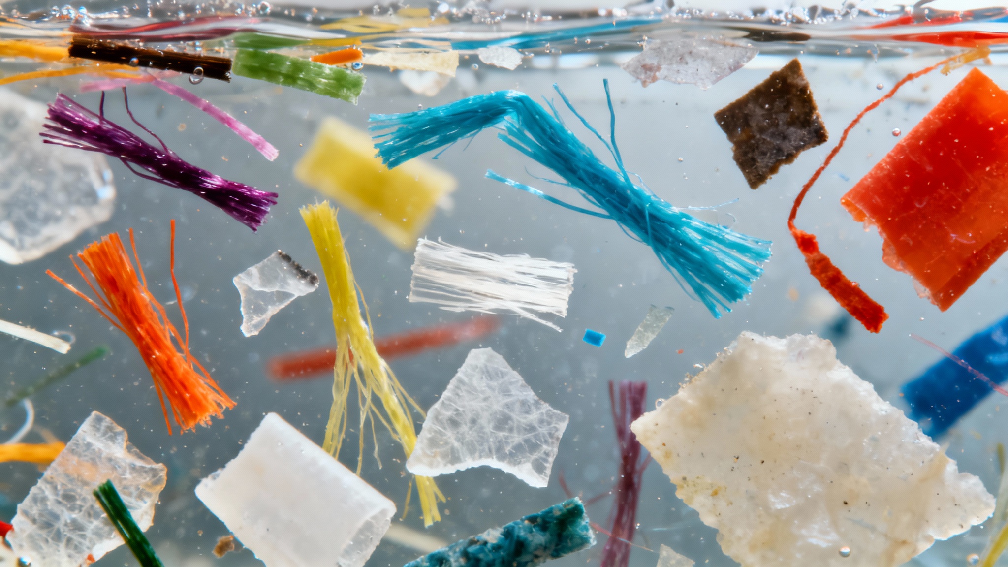 L&rsquo;eau en bouteille révèle son revers toxique : une ingestion massive de microplastiques