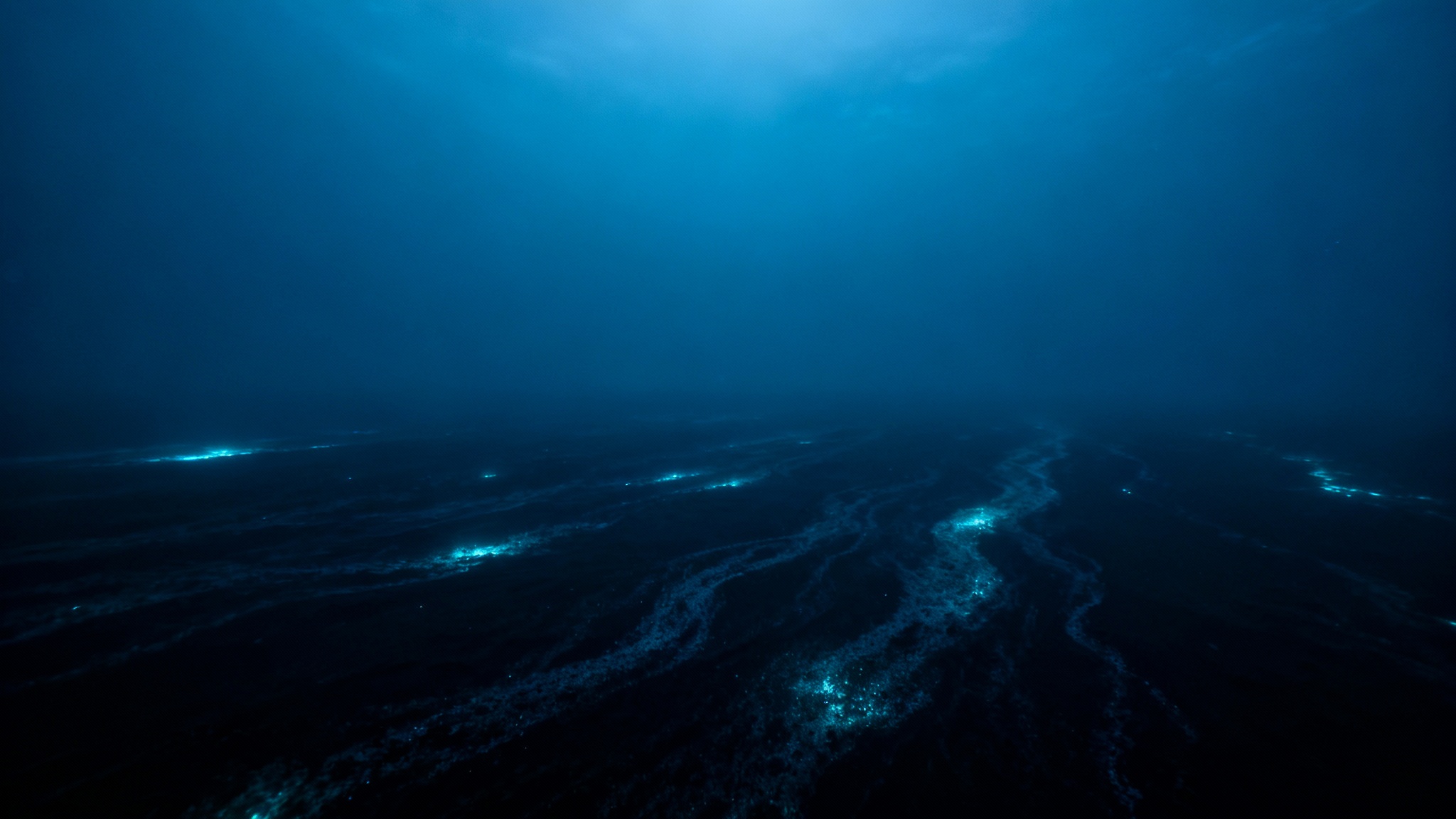 Un habitat sub-marin qui perdure