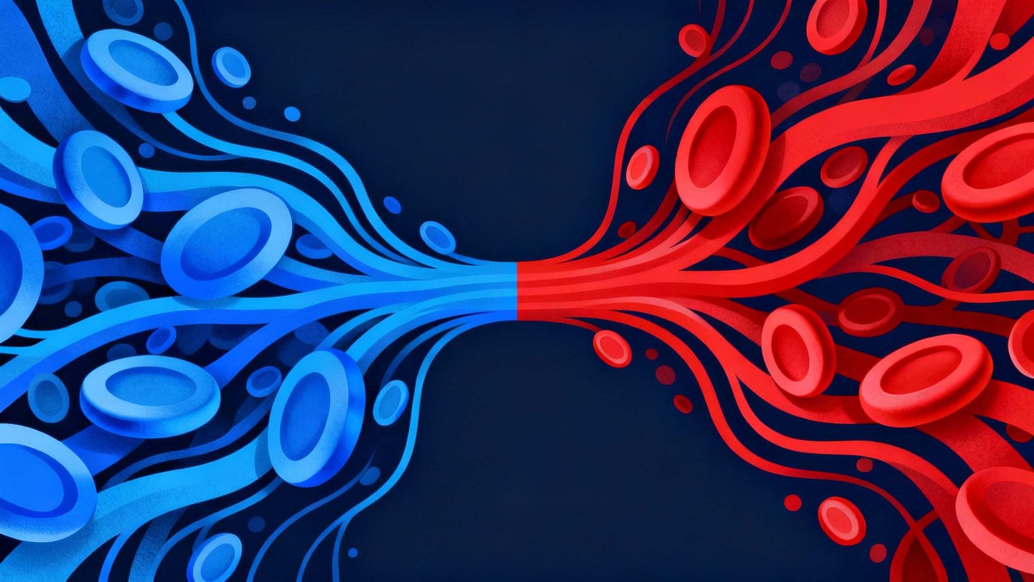 Notre sang a deux origines : une découverte qui pourrait tout changer pour notre immunité