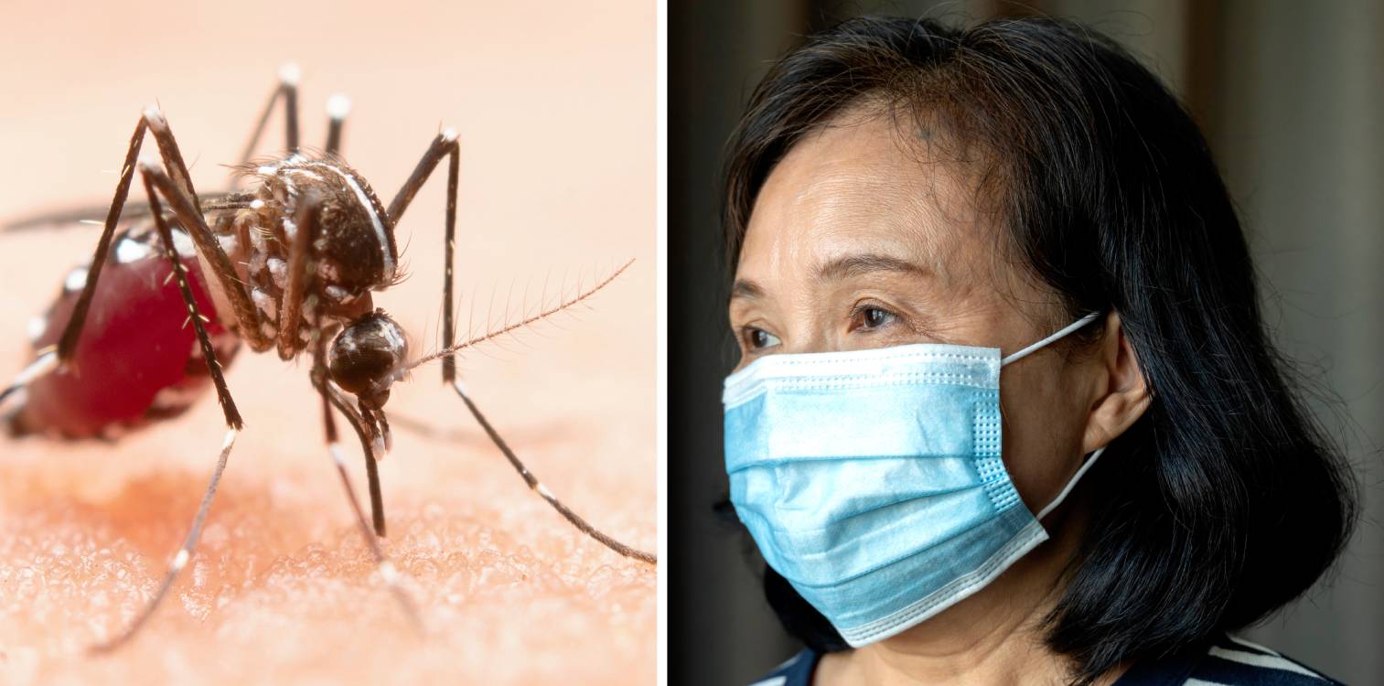 Santé Canada clarifie son avis aux voyageurs en Chine concernant le virus chikungunya