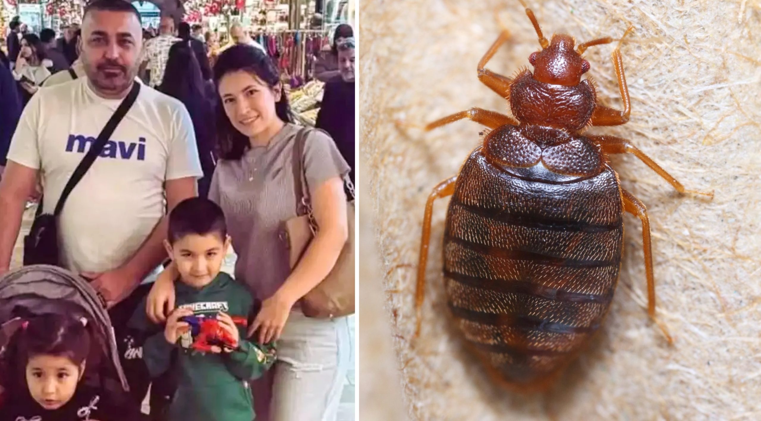 Une famille entière meurt tragiquement en vacances, empoisonnée par un insecticide contre les punaises de lit