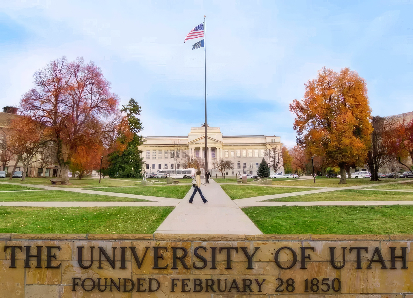 L'avis des experts : un organe précieux à ne pas maltraiter