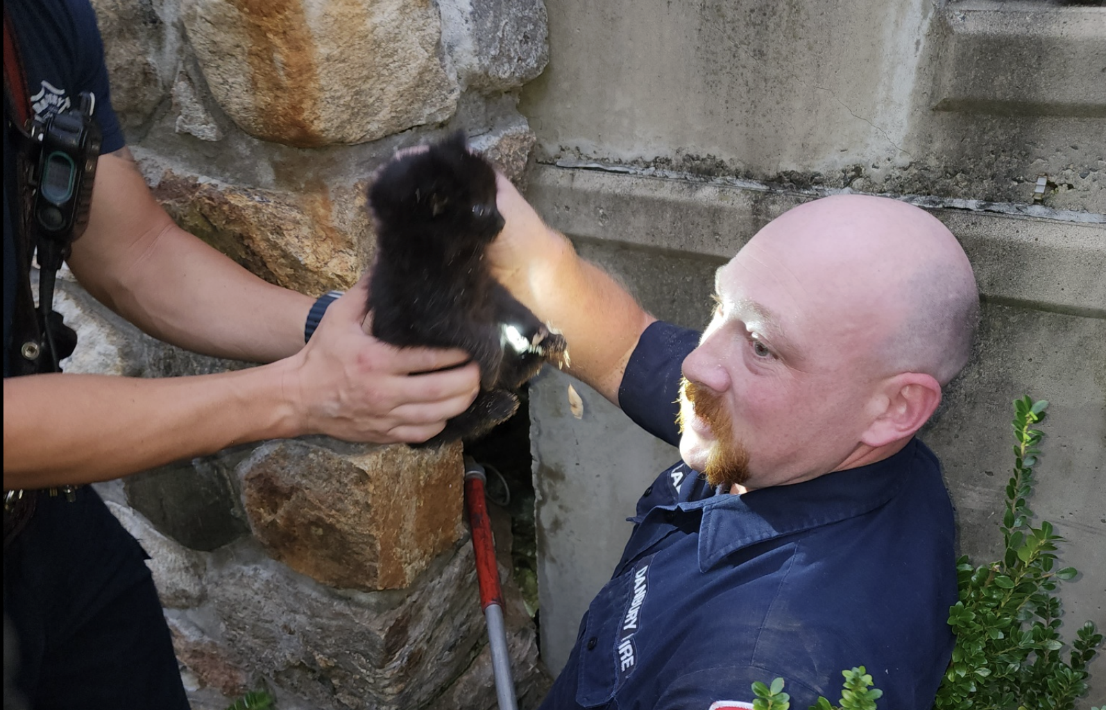 Des miaulements sous le béton : la ruse improbable des pompiers pour sauver deux chatons