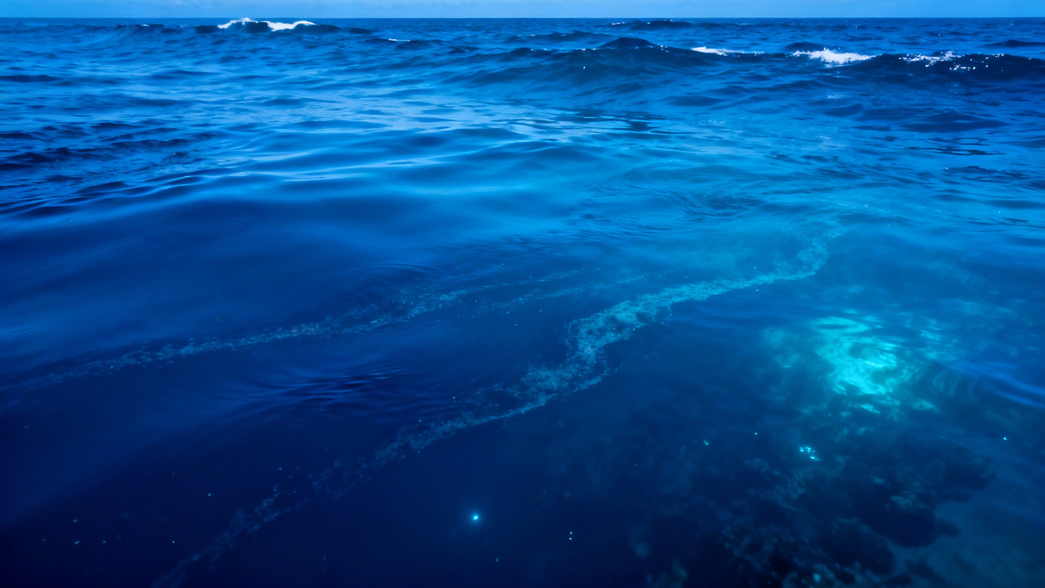 L’acidification des océans, septième seuil critique franchi : la stabilité du système terre en grand danger