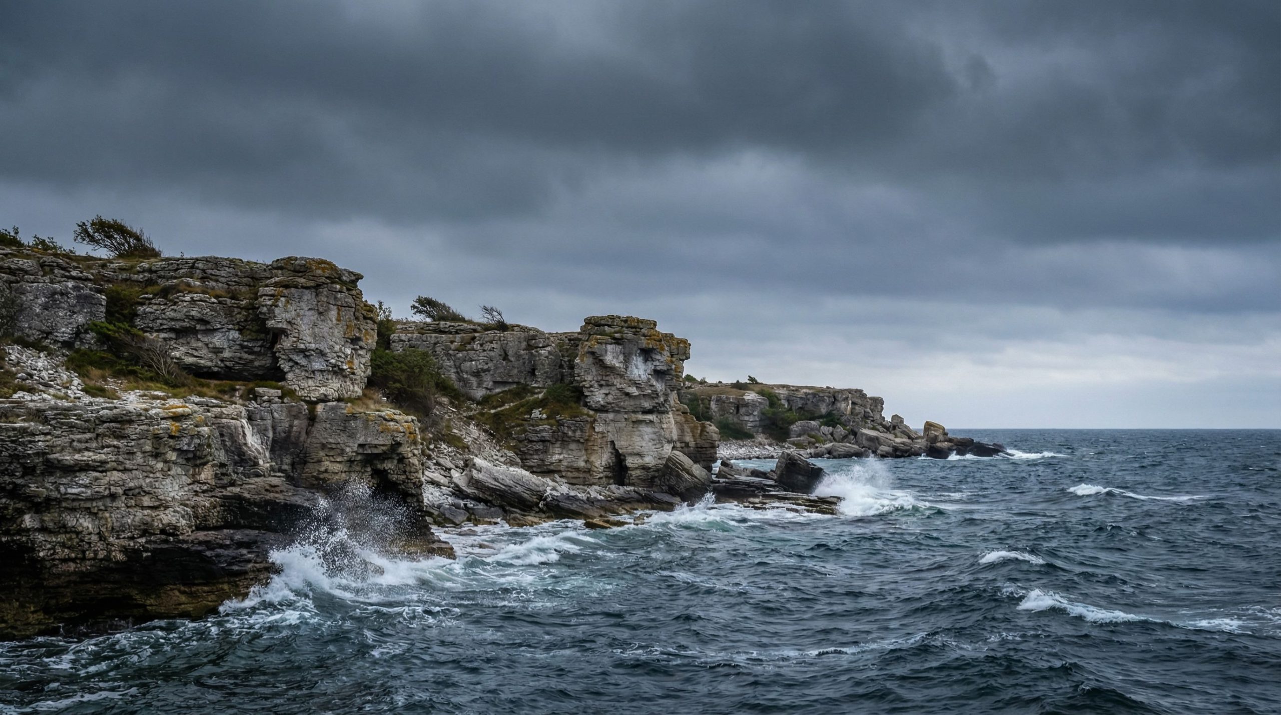 Une énigme vieille de 5 000 ans : mais comment ces loups sont-ils arrivés sur cette île isolée ?