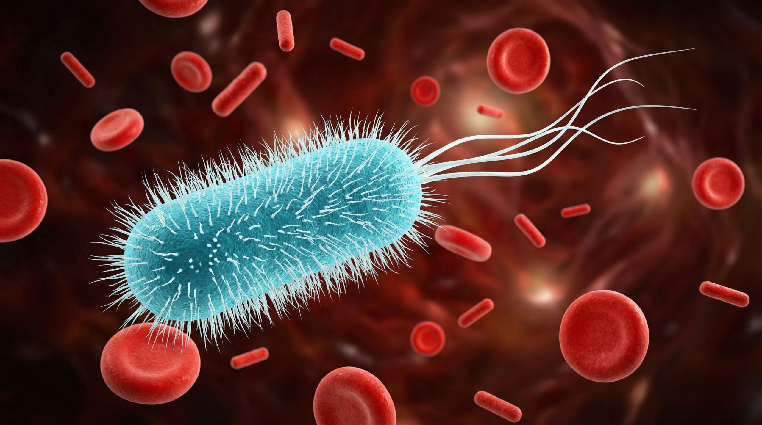 Ces microbes qu'on oublie : nos alliés invisibles pour une santé de fer