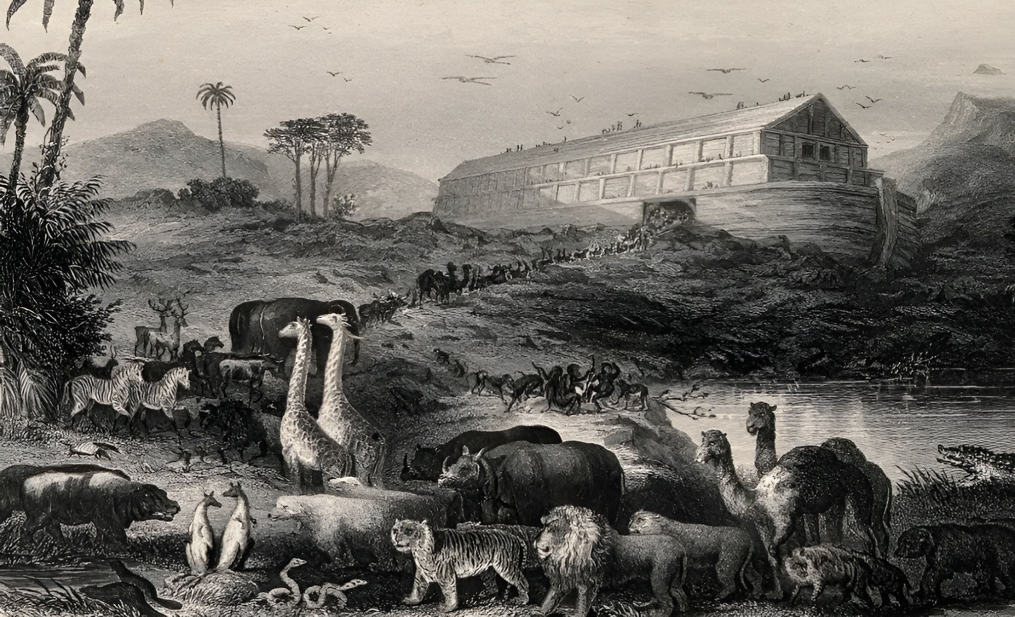 Des animaux aux champignons, toute la vie sur terre descendrait d&rsquo;un même ancêtre : les « Asgardiens »