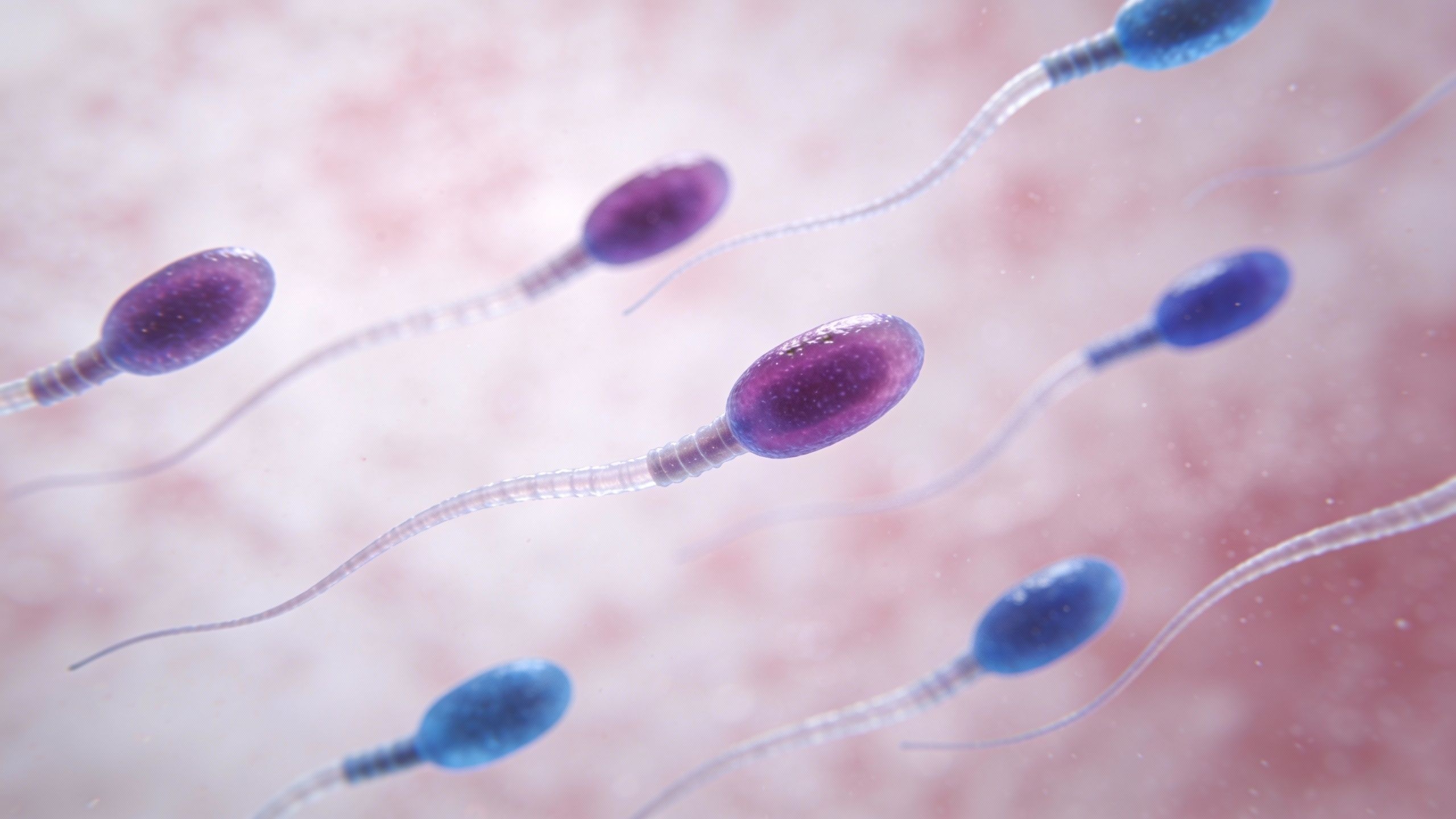 Un donneur de sperme porteur d’un gène cancérigène a engendré au moins 197 enfants