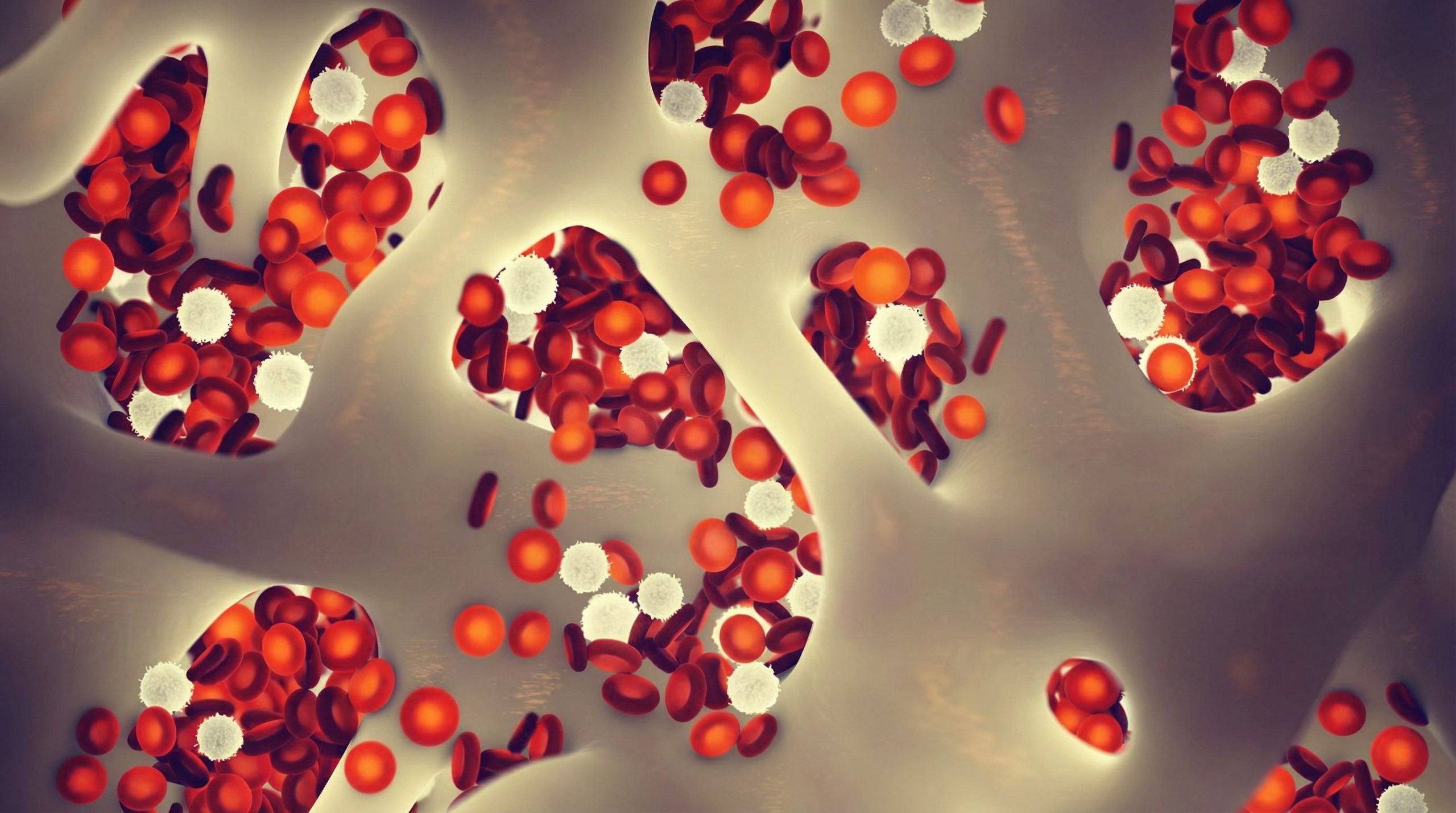 Une septième personne guérie du VIH : un nouvel espoir grâce à un don de cellules souches