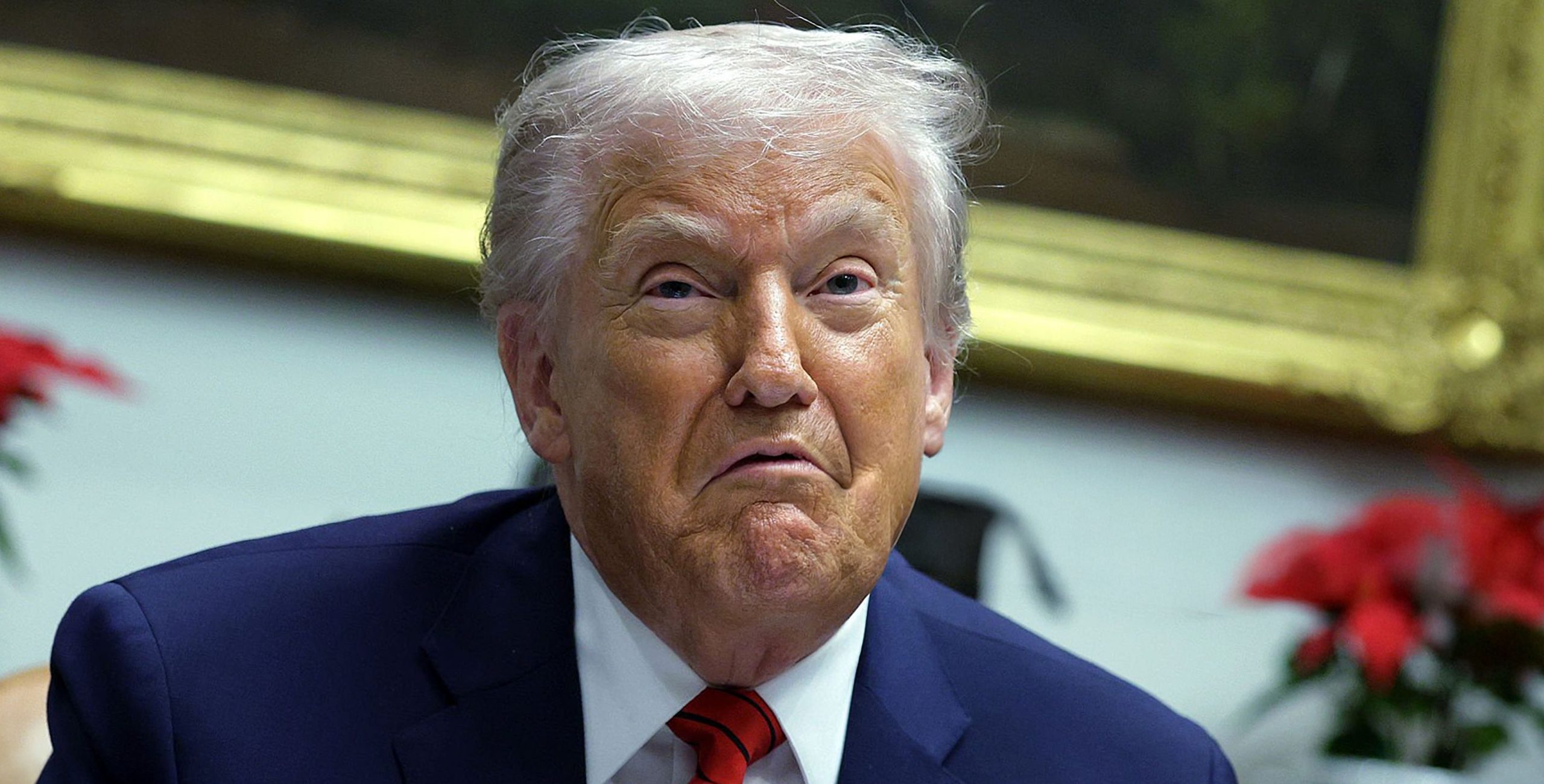 « Vous ne pouvez pas avoir d'armes » : quand la NRA se retourne contre Donald Trump