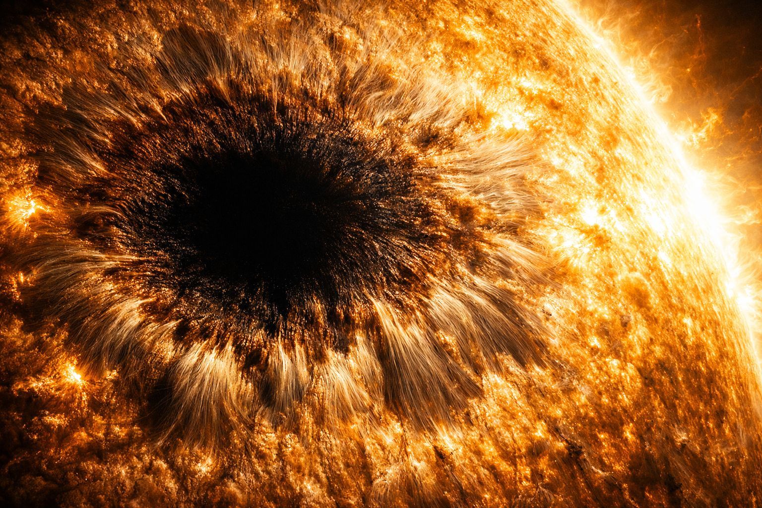 Une région solaire active observée pendant 94 jours record, une première pour la physique solaire