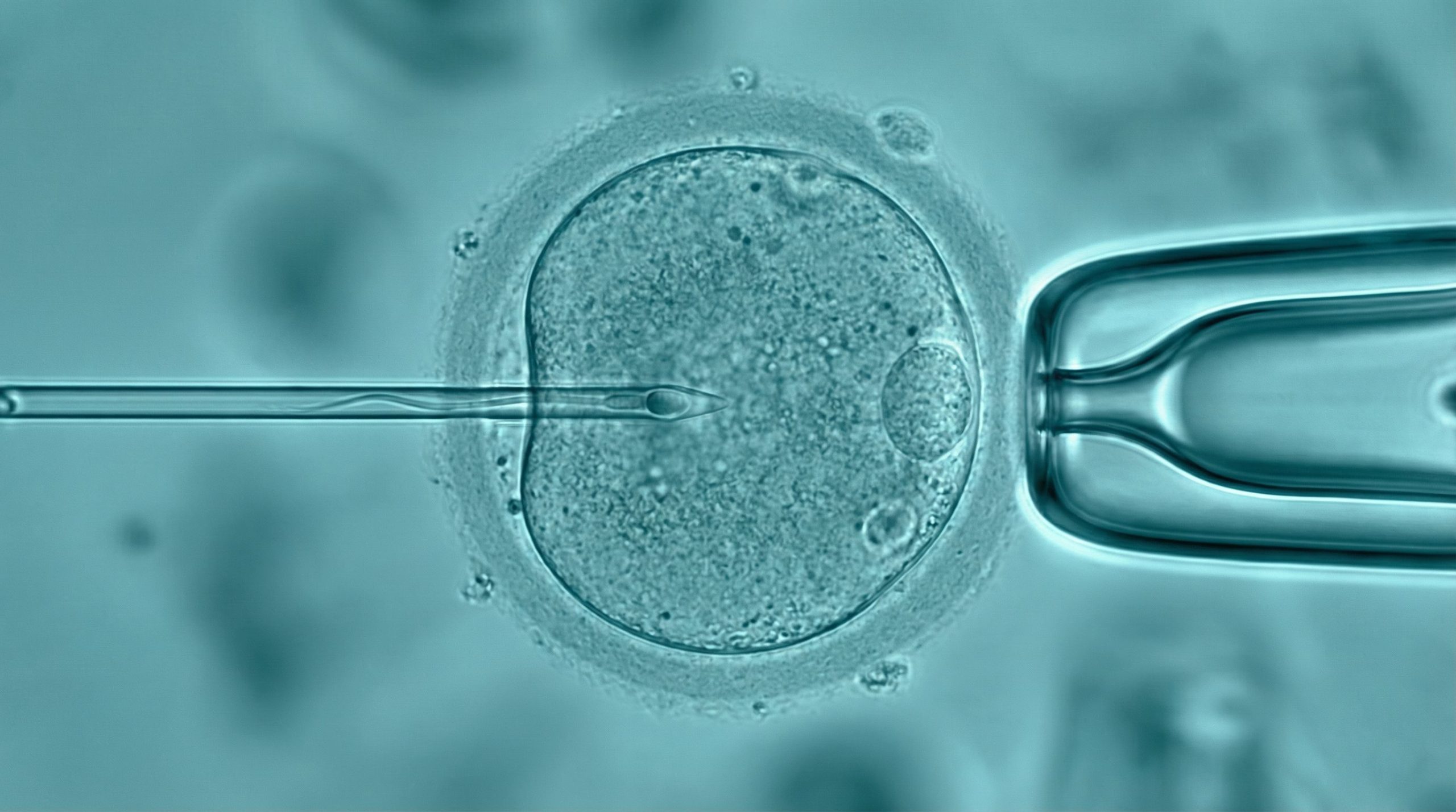 PMA et allergies infantiles : une vaste étude taïwanaise révèle des risques accrus