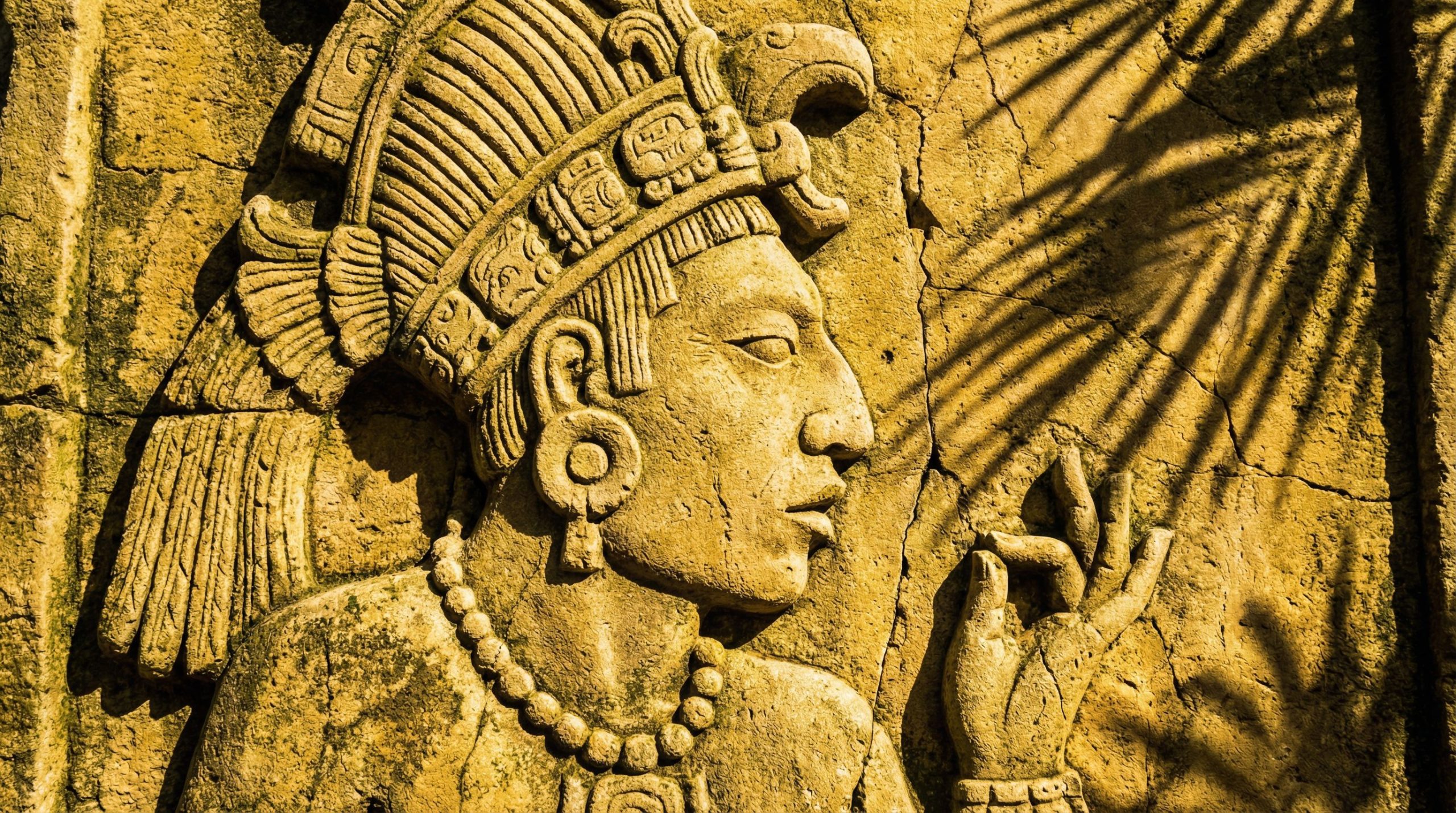 Une cité maya sophistiquée révélée sous la jungle par des chercheurs