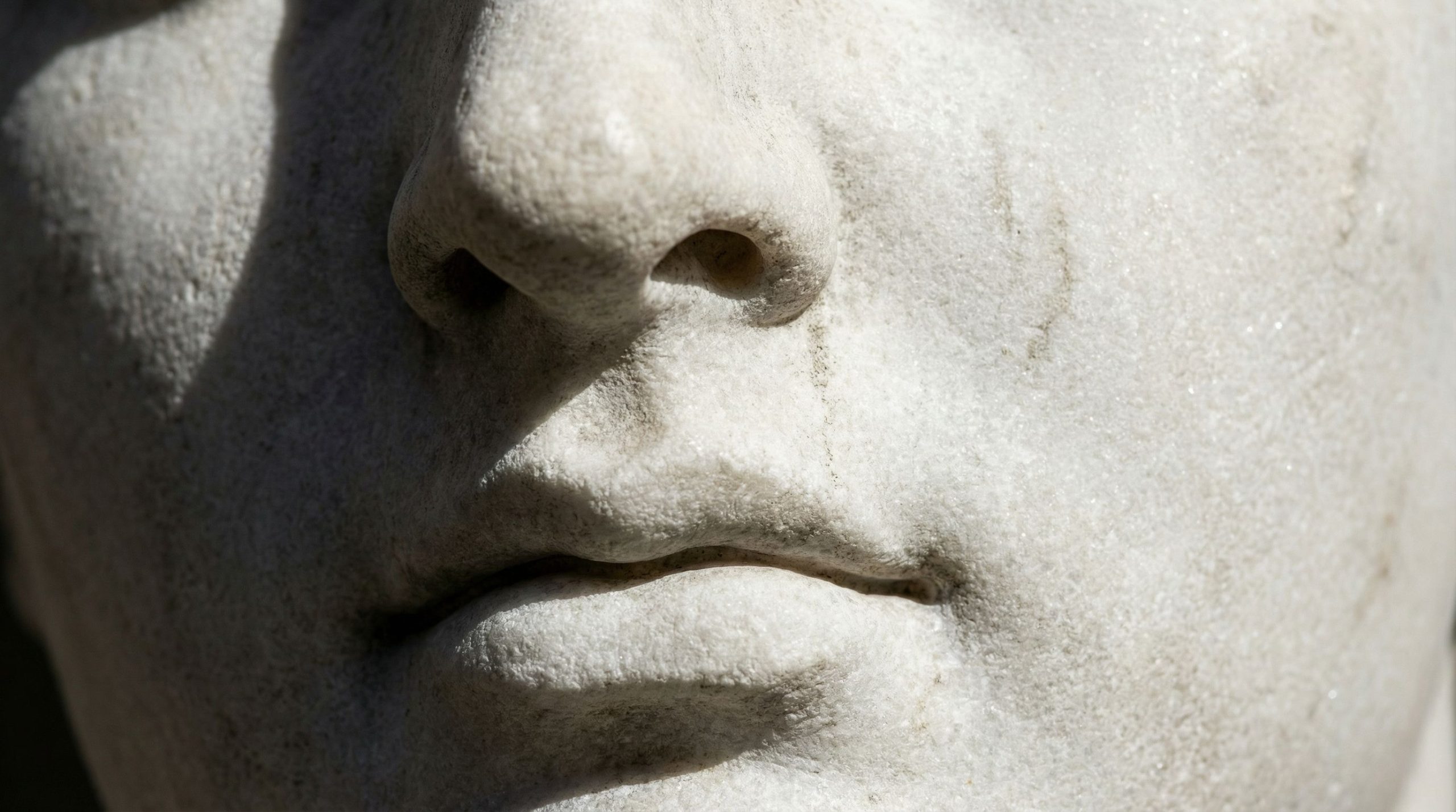 Des pompiers tombent par hasard sur un visage en pierre millénaire : une découverte stupéfiante