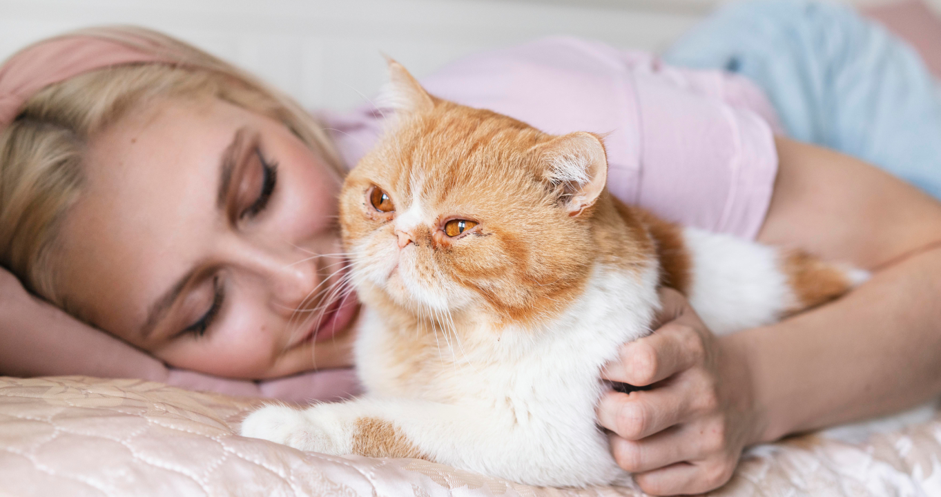 Votre chat ne dort pas avec vous juste pour faire joli : voici les vraies raisons (et c’est fascinant)