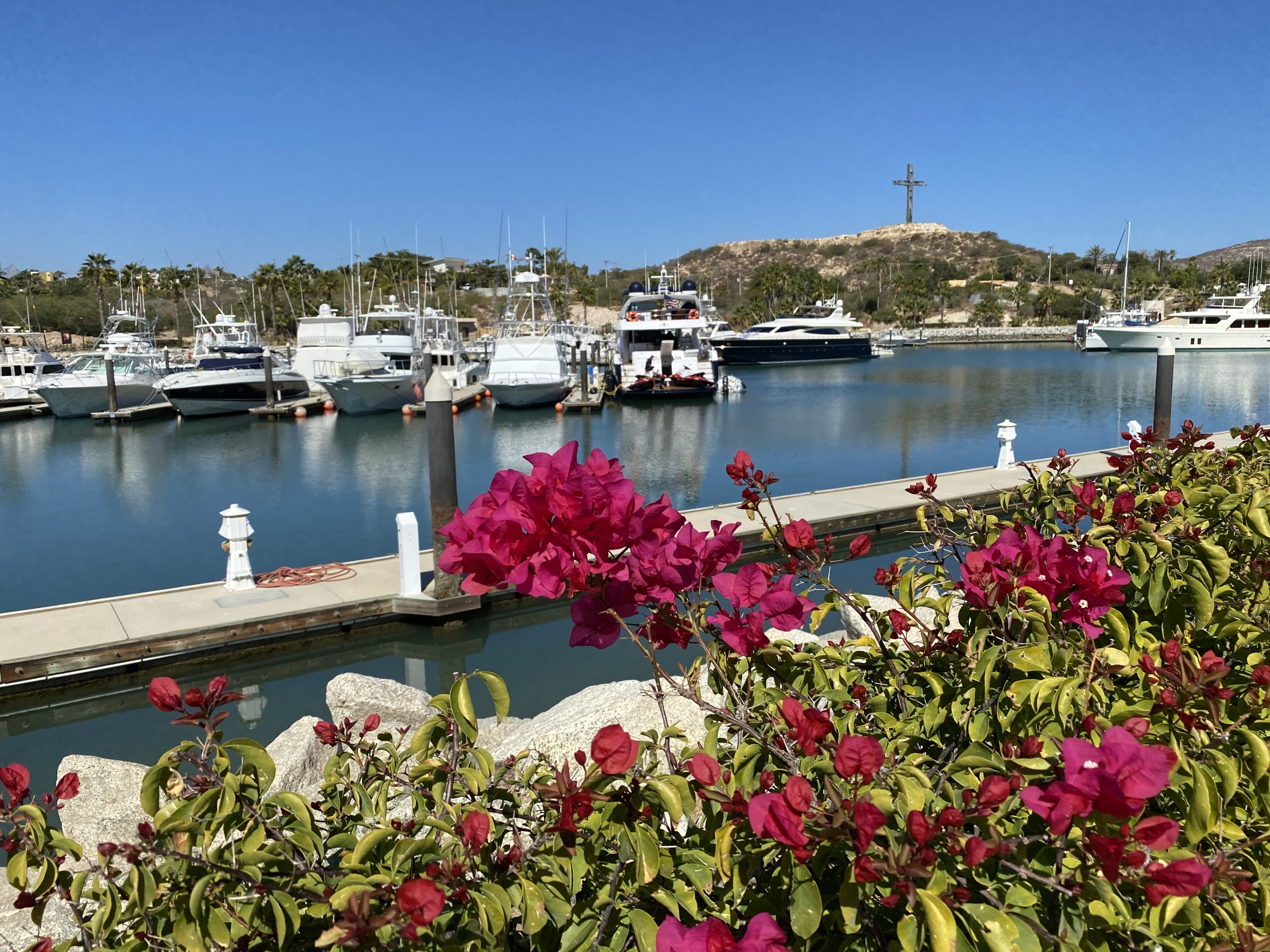 Puerto Los Cabos (50819196673).jpg