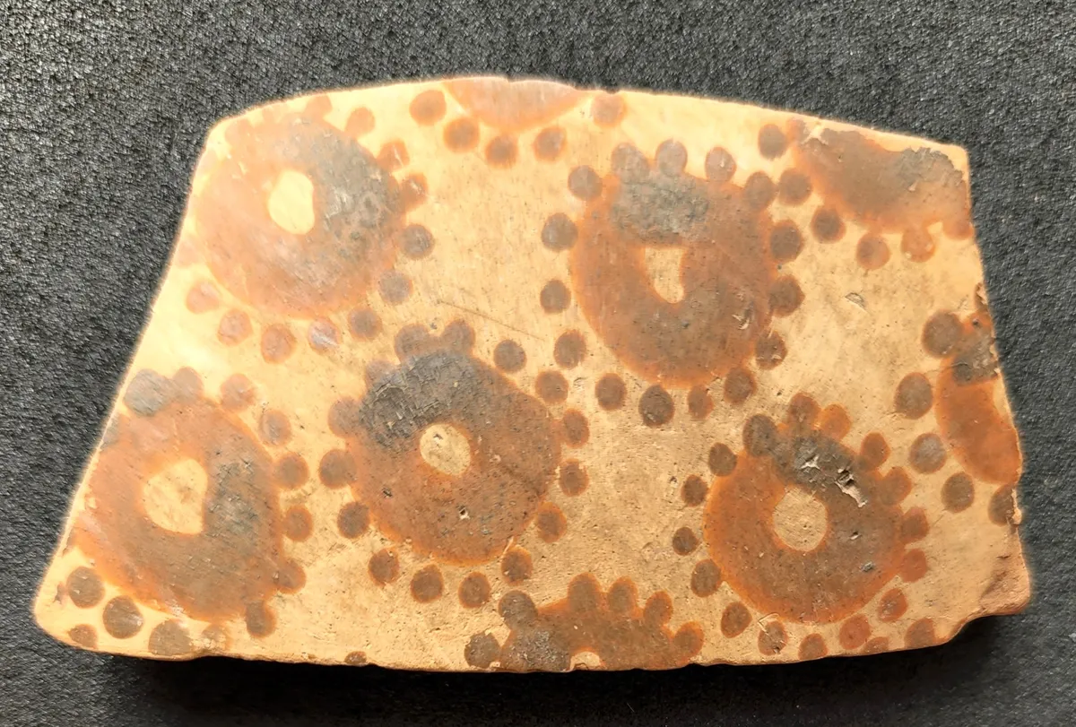 La plus ancienne œuvre d’art botanique au monde révèle les premières traces de pensée mathématique