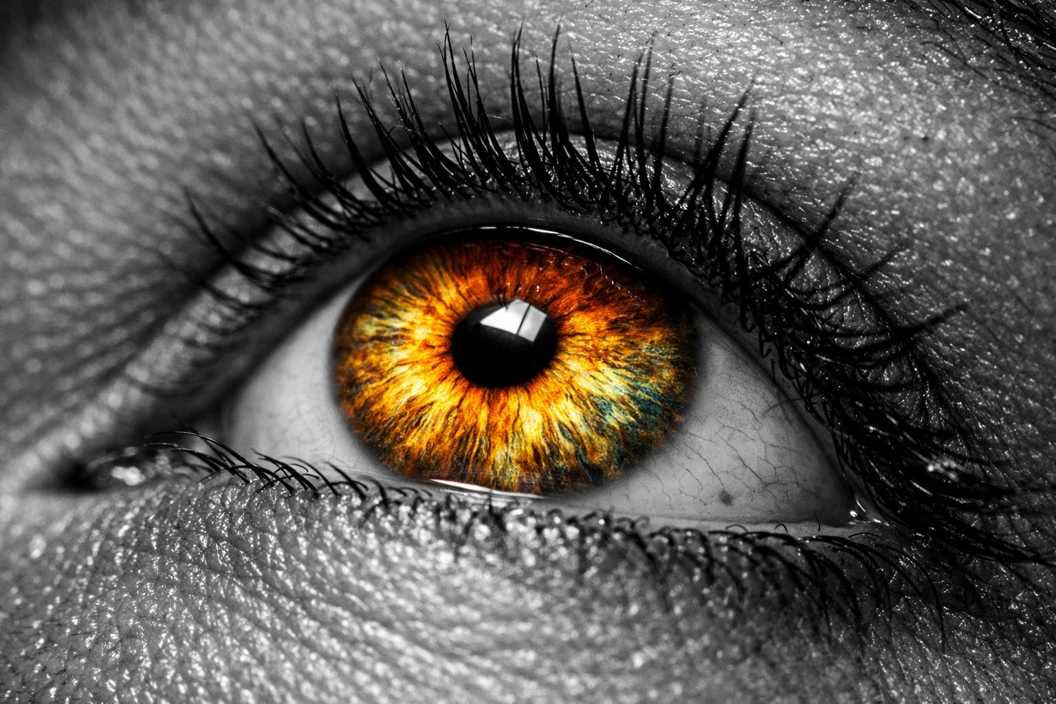 Le 10e point de bascule catastrophique de la Terre a été identifié