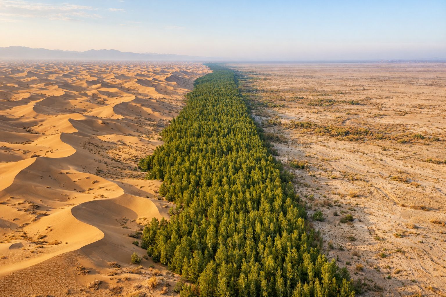 La 'Grande Muraille Verte' de 3 046 kilomètres en Chine a transformé son plus grand désert en puits de carbone